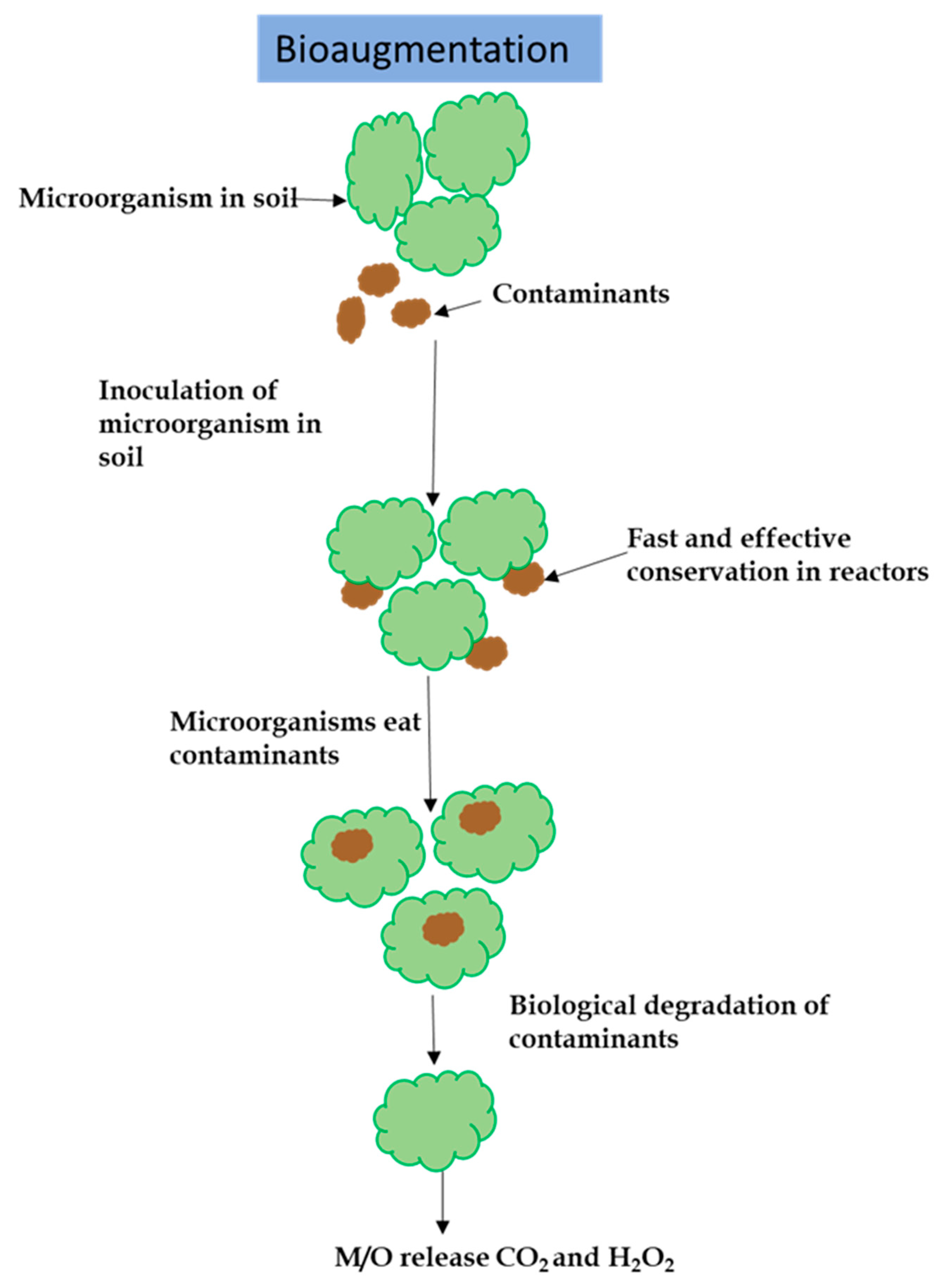 Horticulturae 09 00340 g004 Horticulturae 09 00340 g004