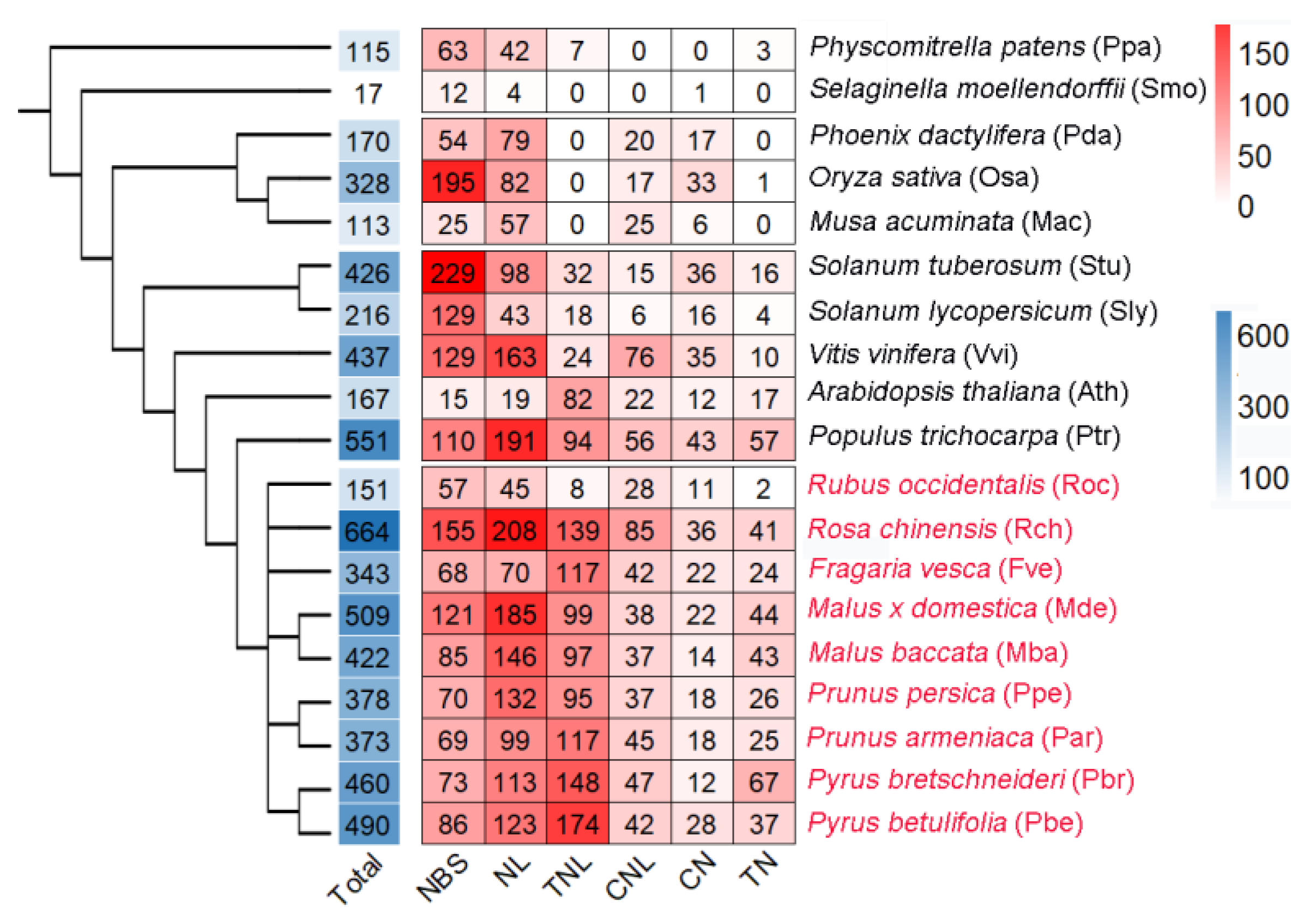 Horticulturae 09 00345 g001 Horticulturae 09 00345 g001