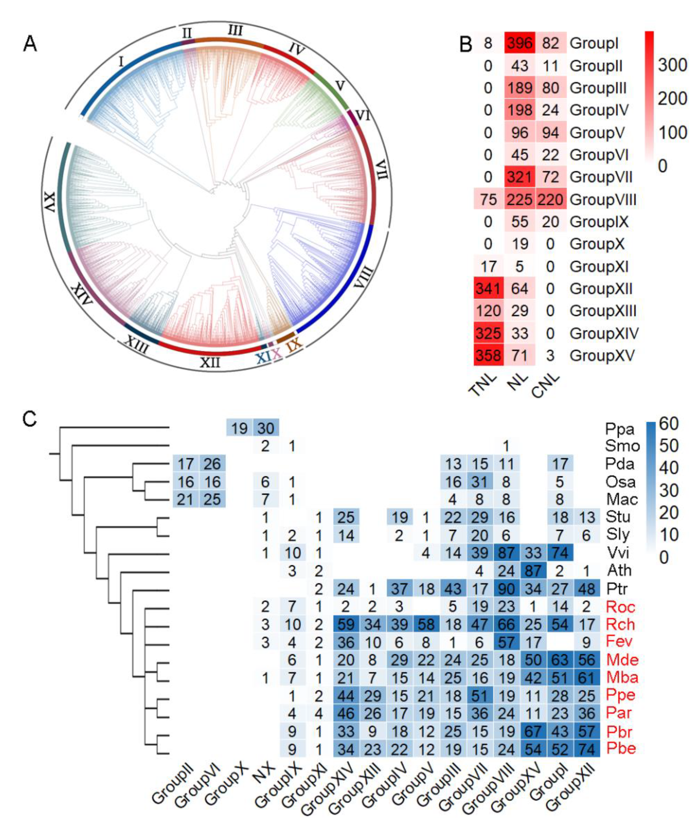 Horticulturae 09 00345 g002 Horticulturae 09 00345 g002