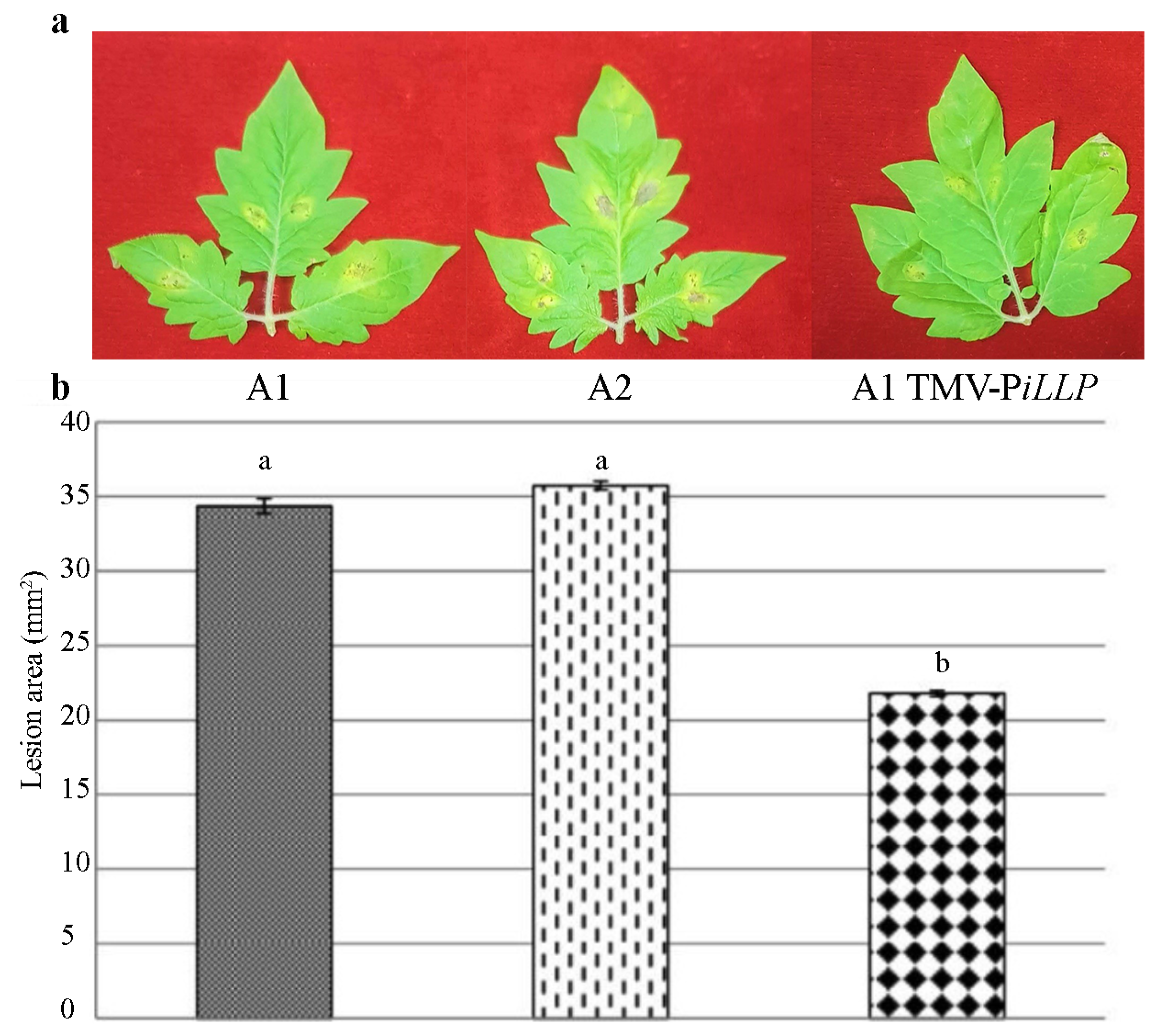 Horticulturae 09 00360 g007 Horticulturae 09 00360 g007