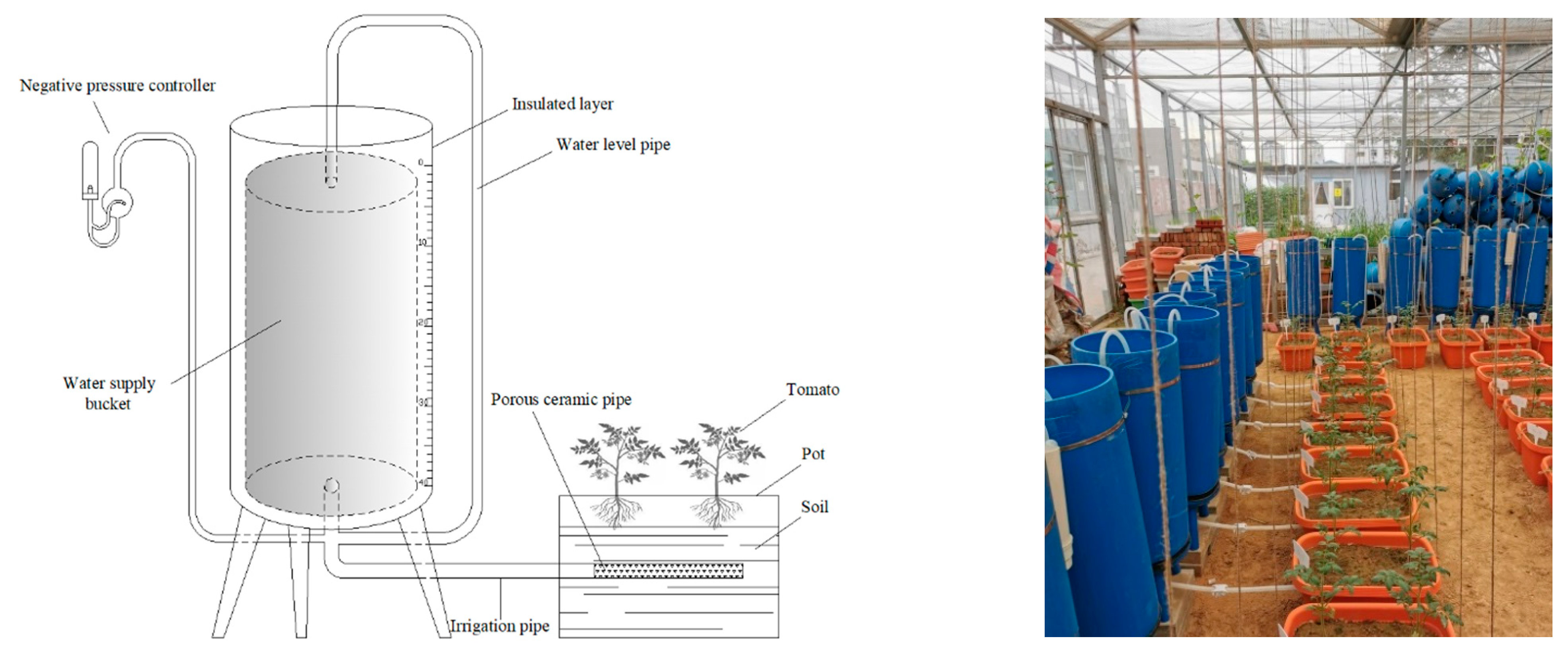 Horticulturae 09 00391 g001 Horticulturae 09 00391 g001