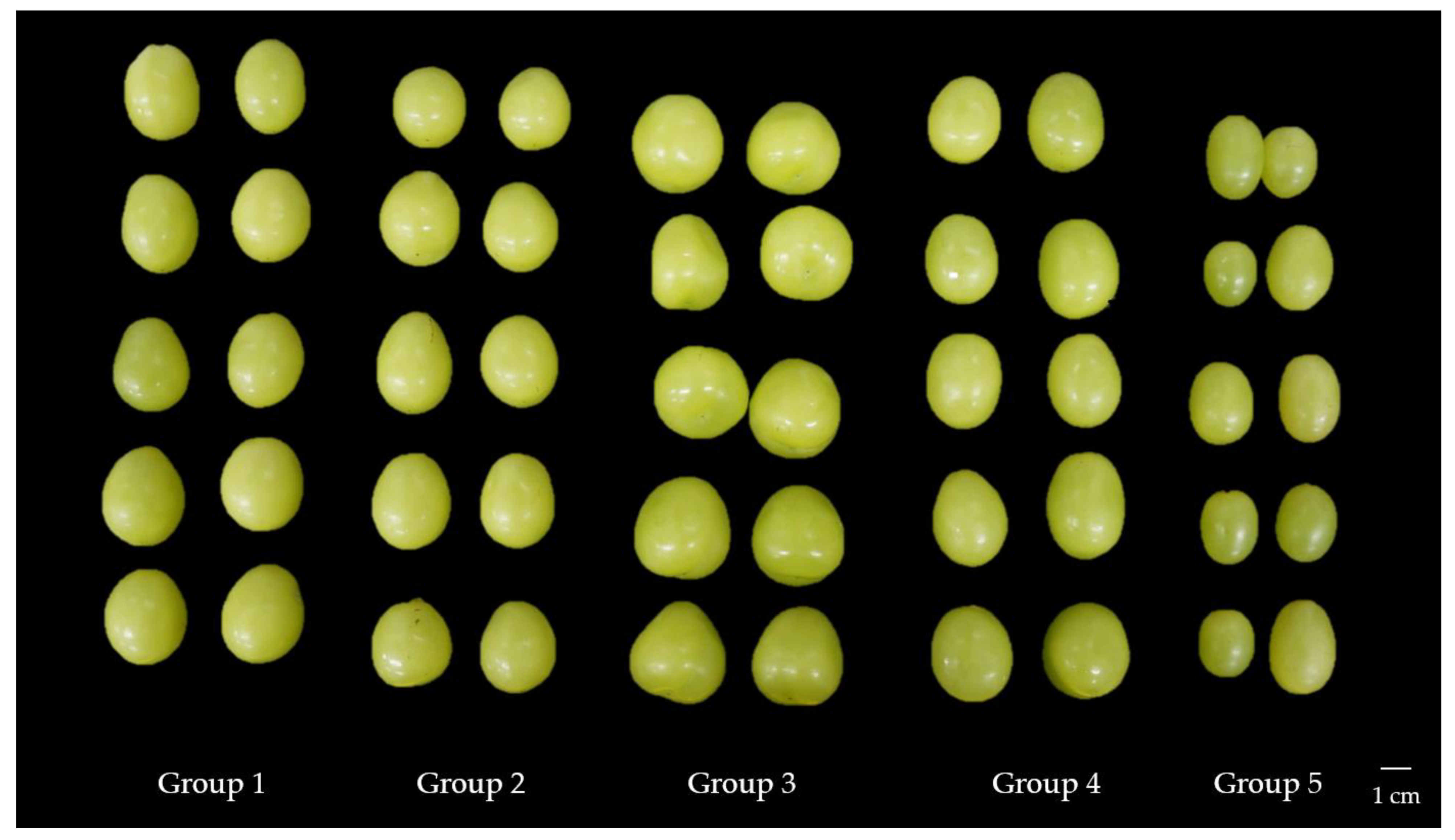 Horticulturae 09 00392 g002