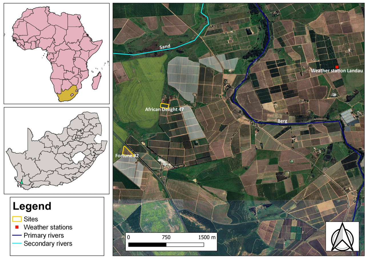 Horticulturae 09 00395 g001b Horticulturae 09 00395 g001b