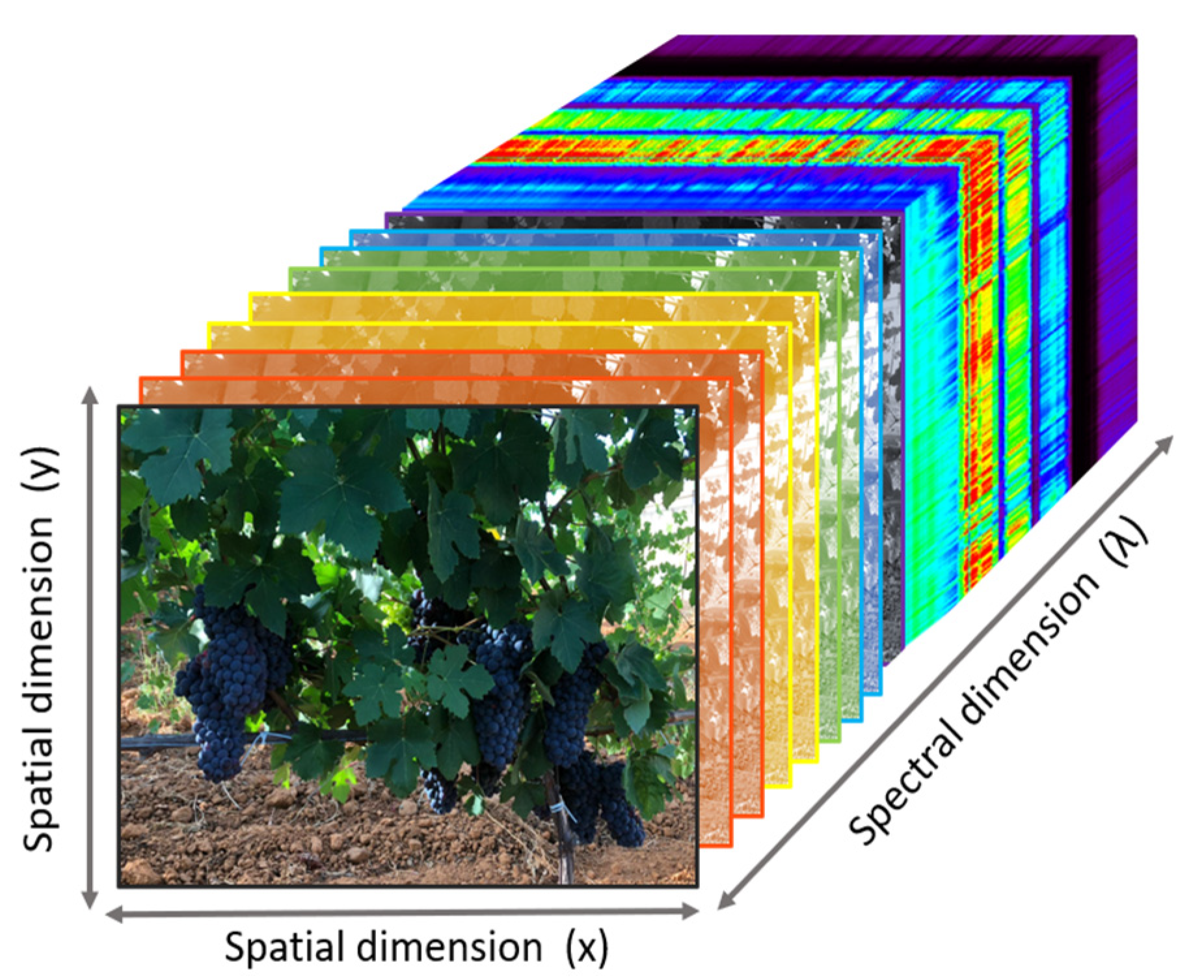 Horticulturae 09 00399 g003 Horticulturae 09 00399 g003
