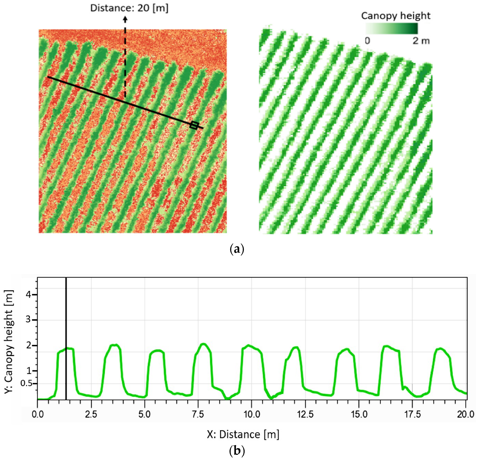 Horticulturae 09 00399 g007 Horticulturae 09 00399 g007