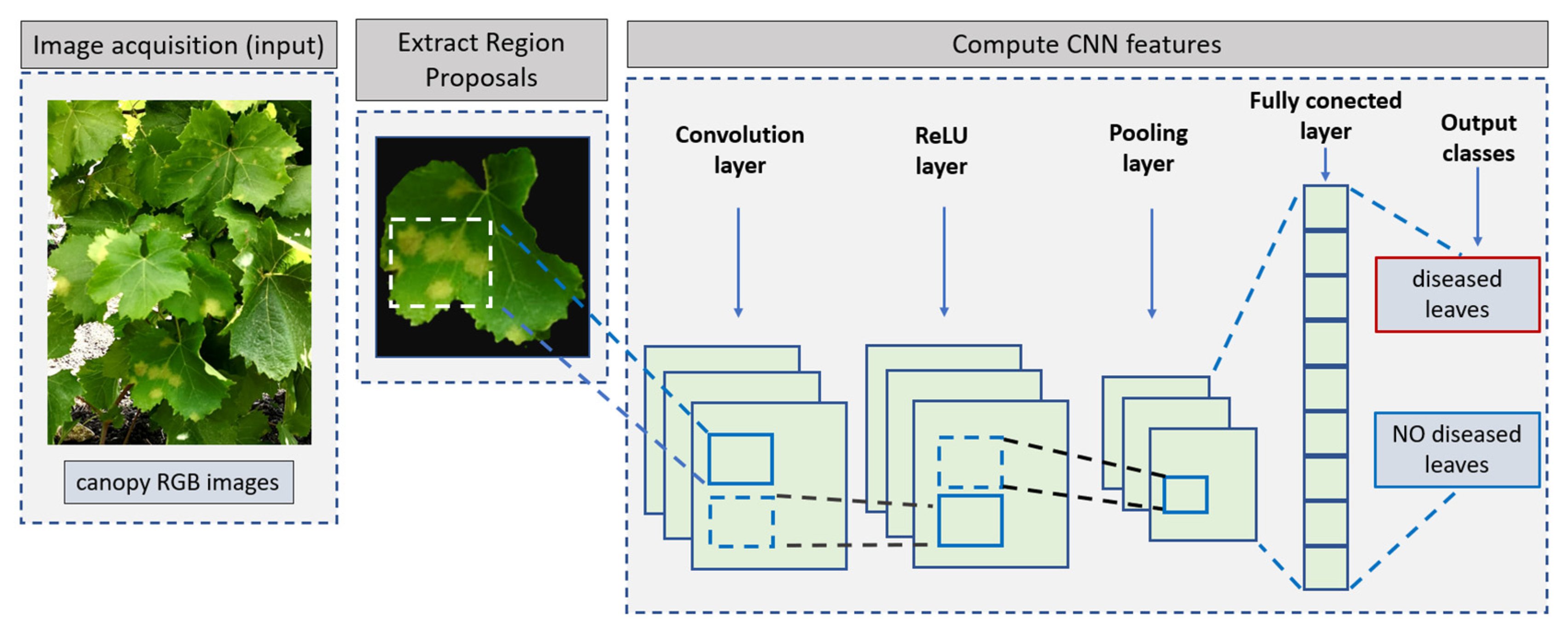 Horticulturae 09 00399 g012 Horticulturae 09 00399 g012