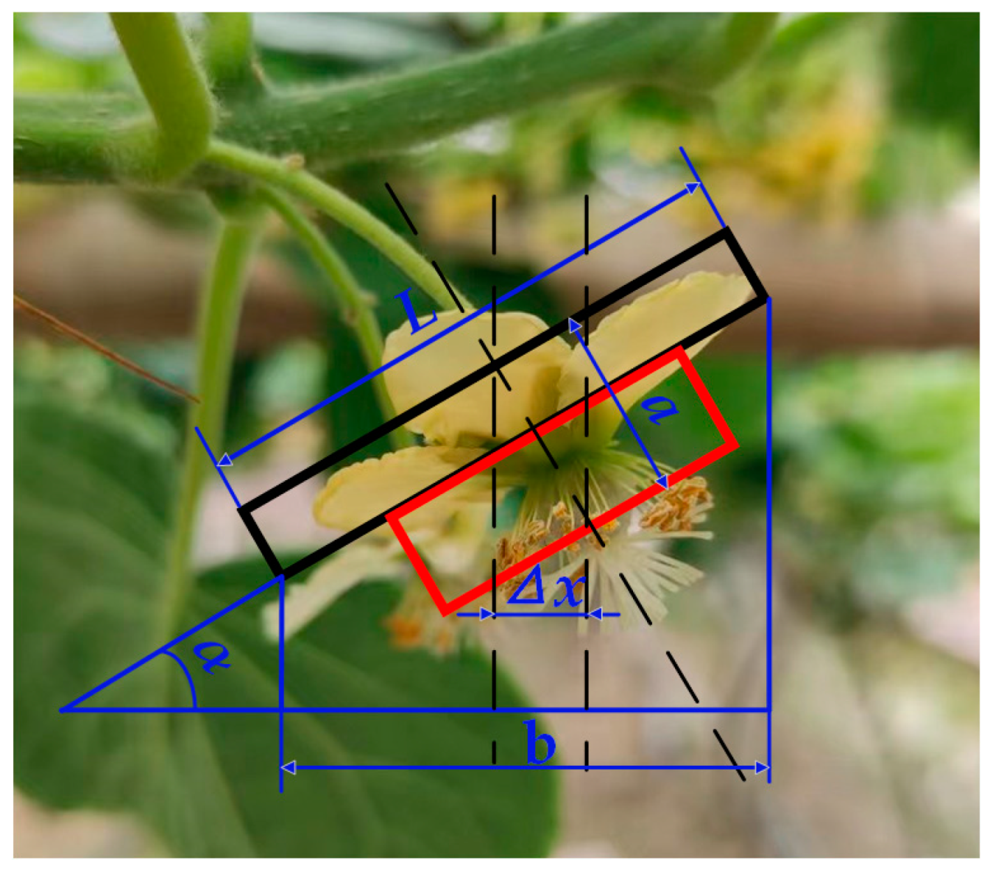 Horticulturae 09 00400 g004