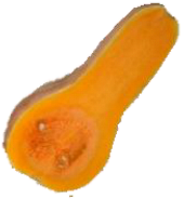 Horticulturae 09 00409 i002