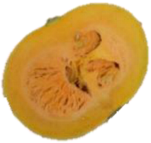 Horticulturae 09 00409 i010