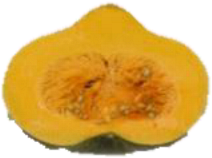 Horticulturae 09 00409 i014