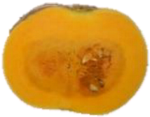 Horticulturae 09 00409 i016