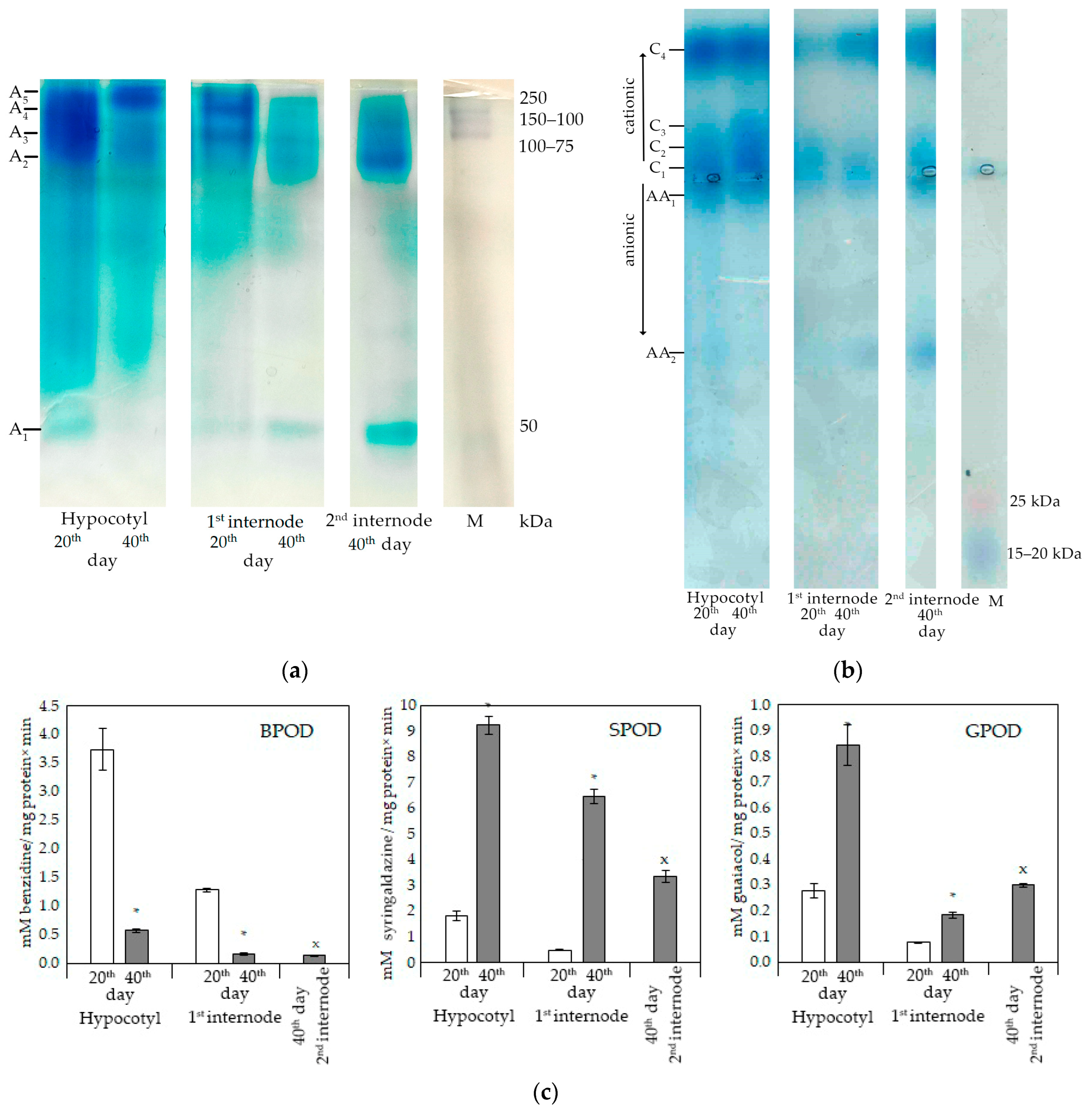 Horticulturae 09 00410 g003