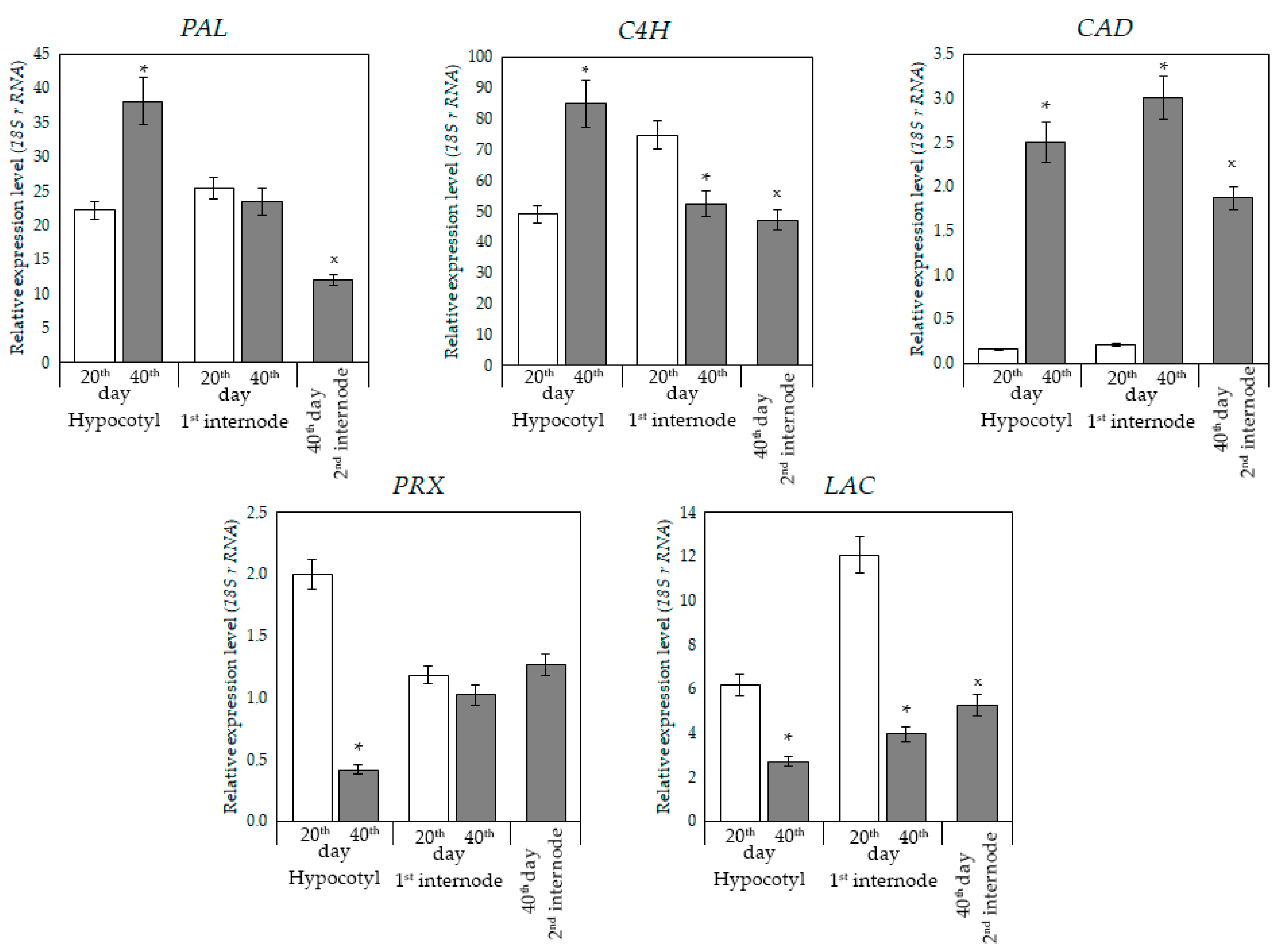 Horticulturae 09 00410 g004
