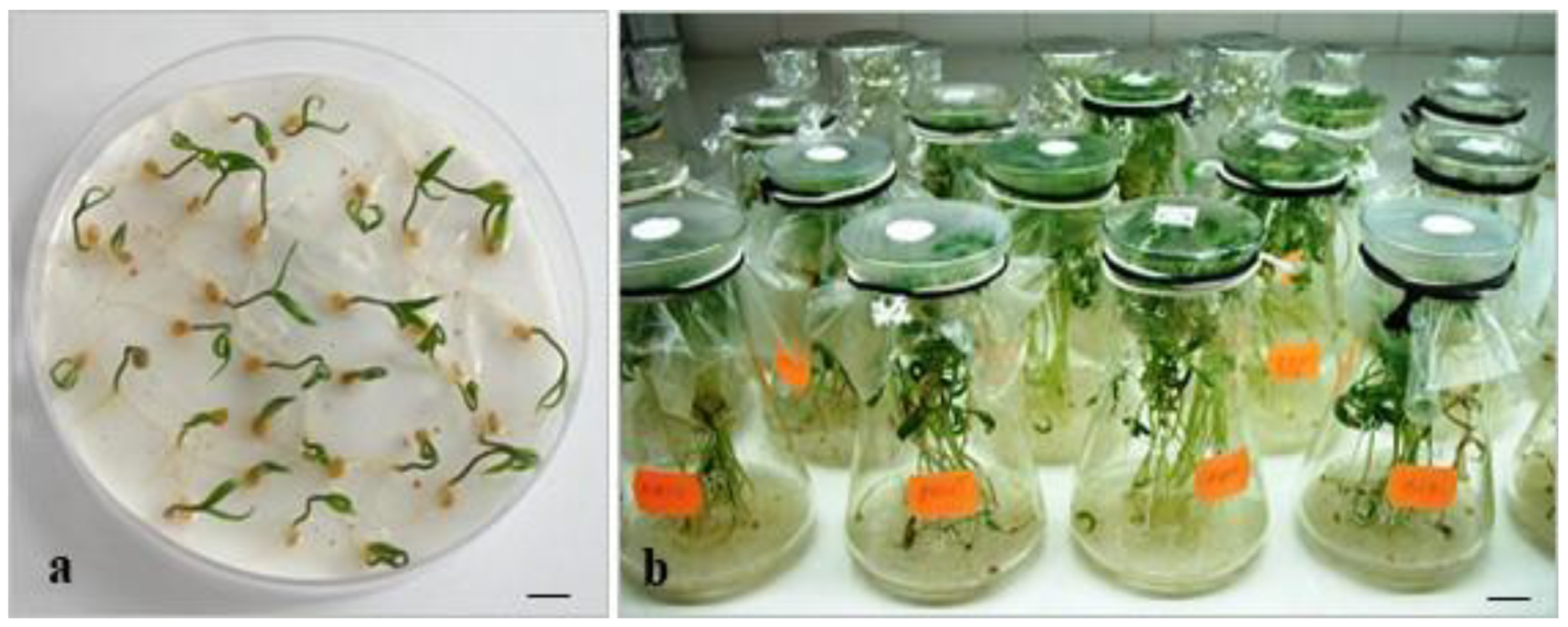 Horticulturae 09 00411 g002 Horticulturae 09 00411 g002