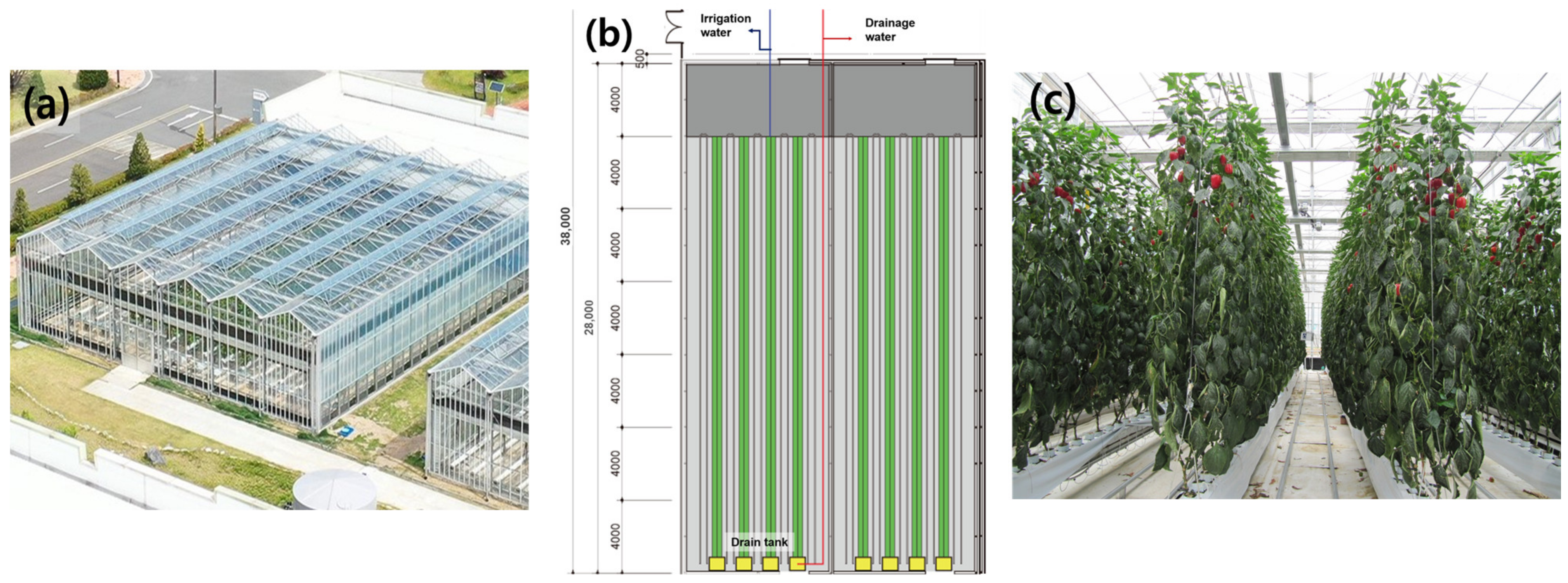 Horticulturae 09 00412 g001