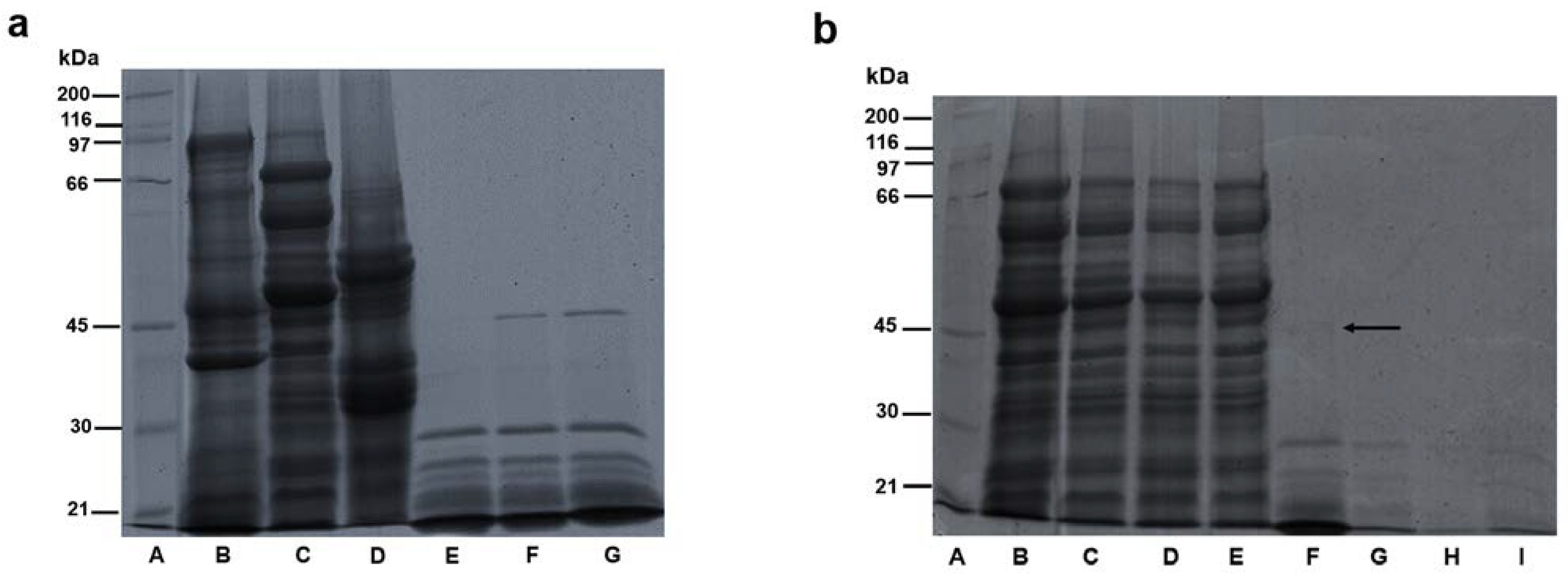 Horticulturae 09 00415 g003 Horticulturae 09 00415 g003