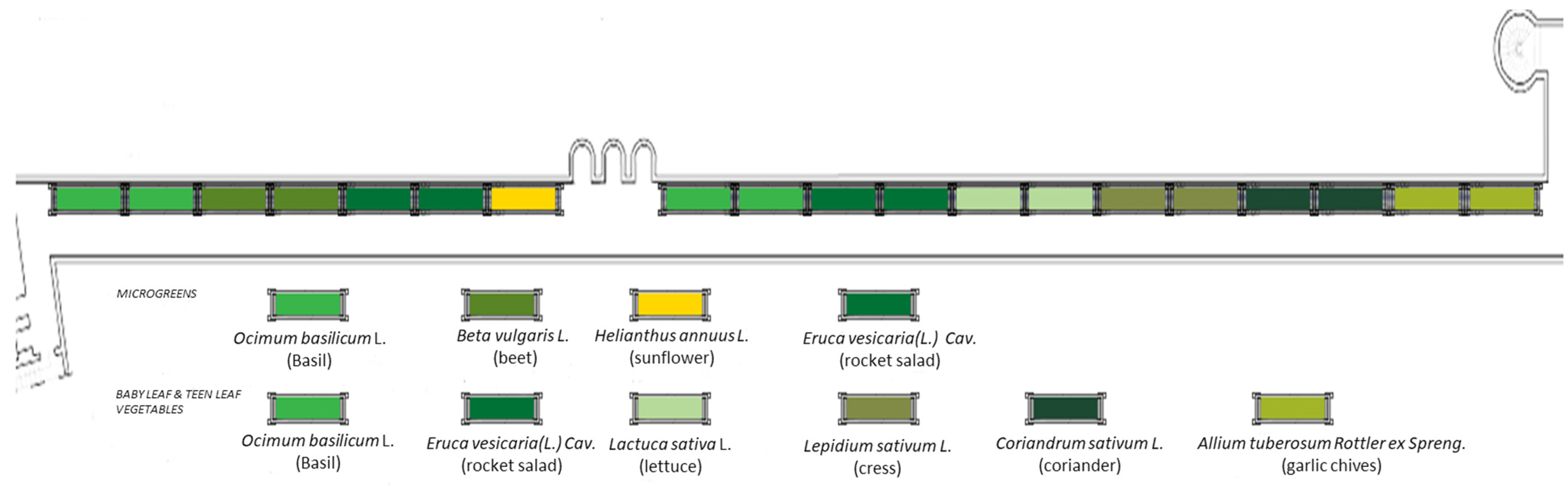 Horticulturae 09 00417 g010