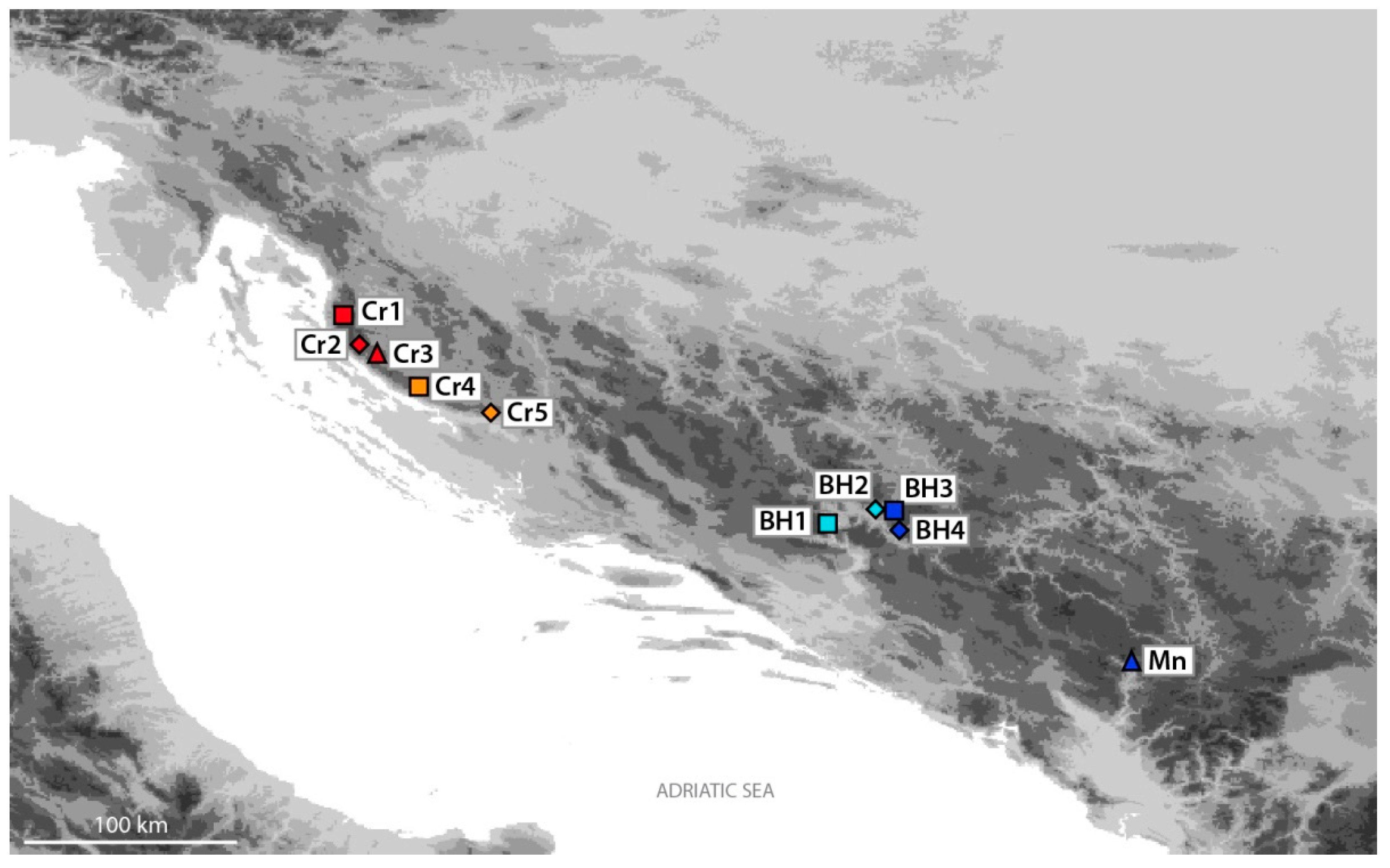Horticulturae 09 00418 g002