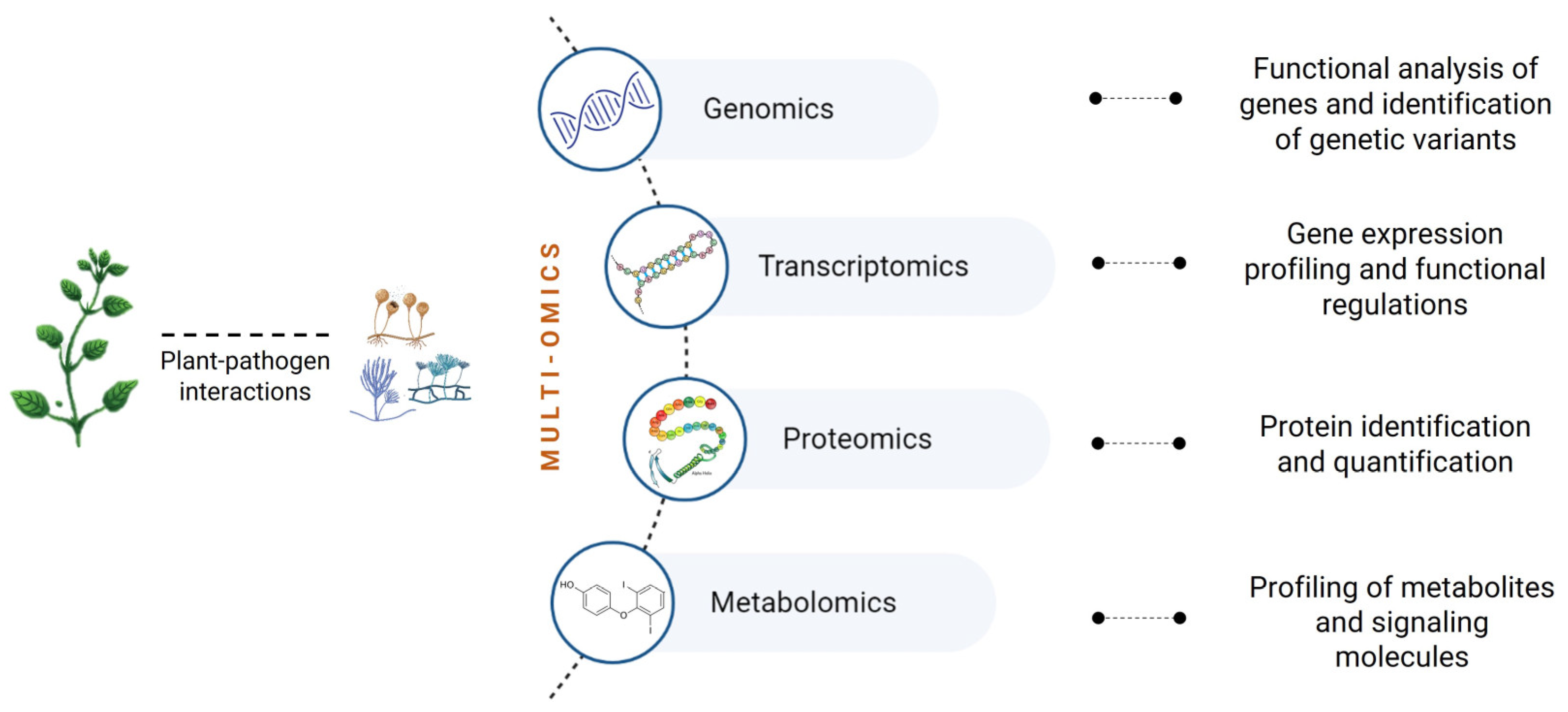 Horticulturae 09 00423 g001 Horticulturae 09 00423 g001