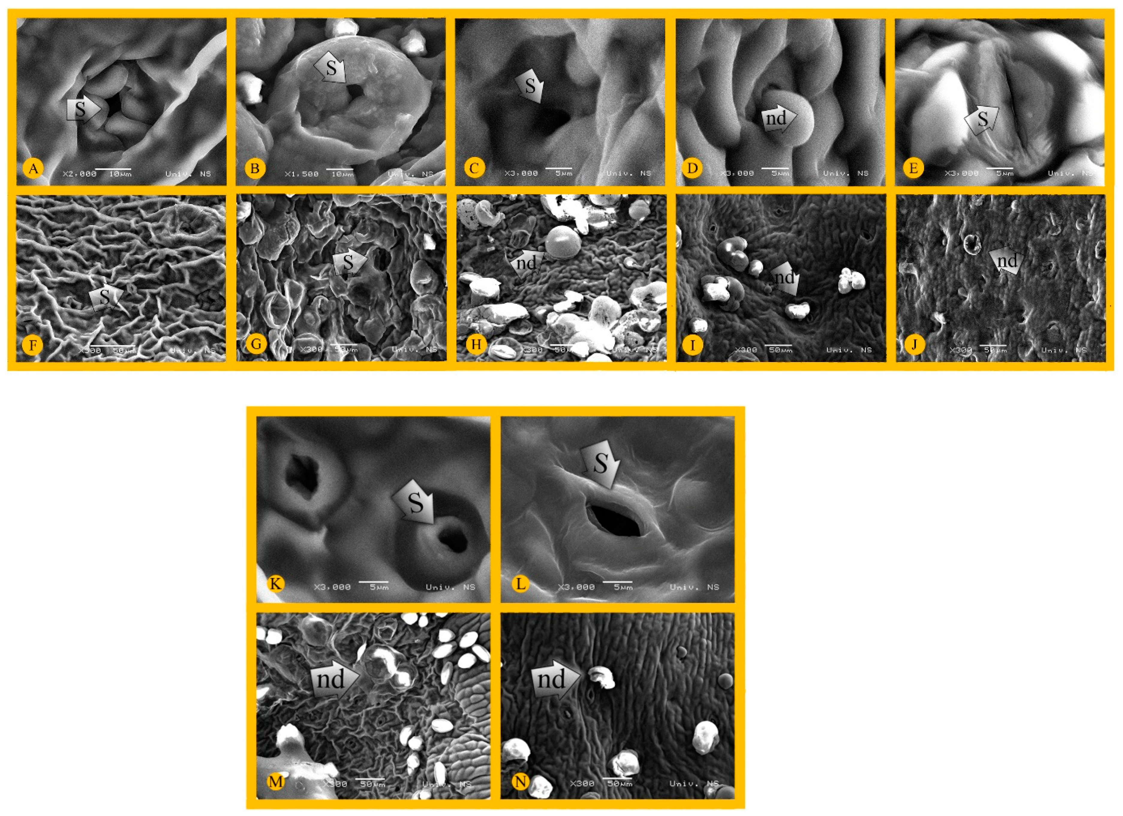 Horticulturae 09 00424 g005