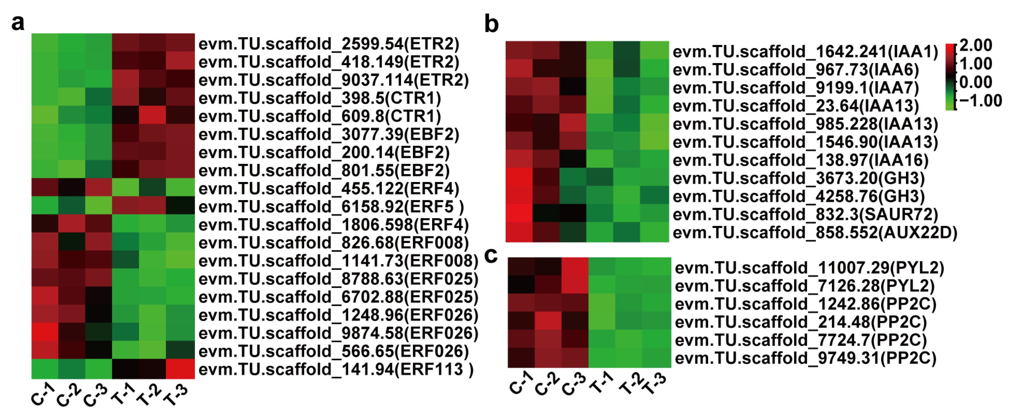 Horticulturae 09 00428 g004 Horticulturae 09 00428 g004
