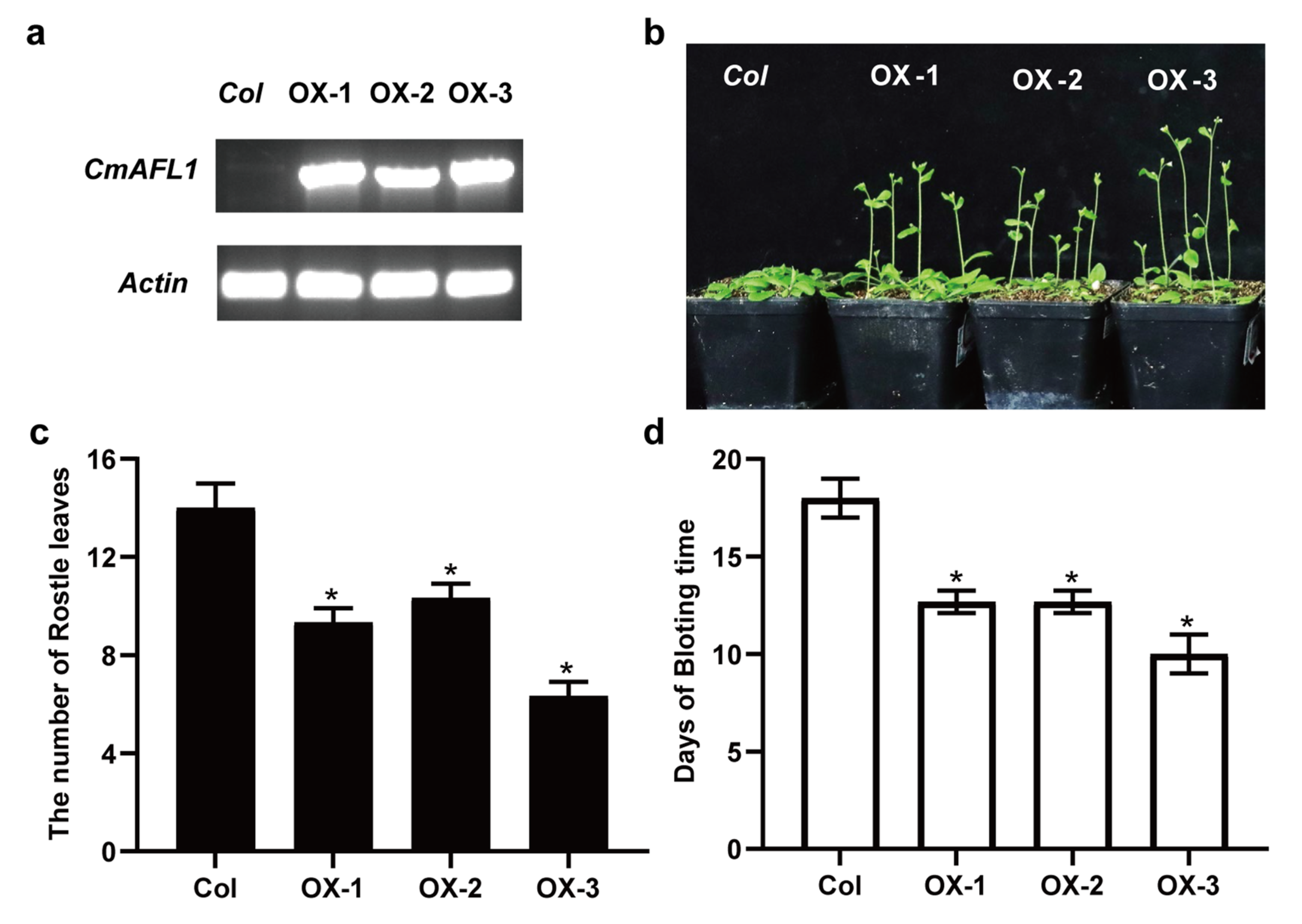 Horticulturae 09 00428 g007 Horticulturae 09 00428 g007