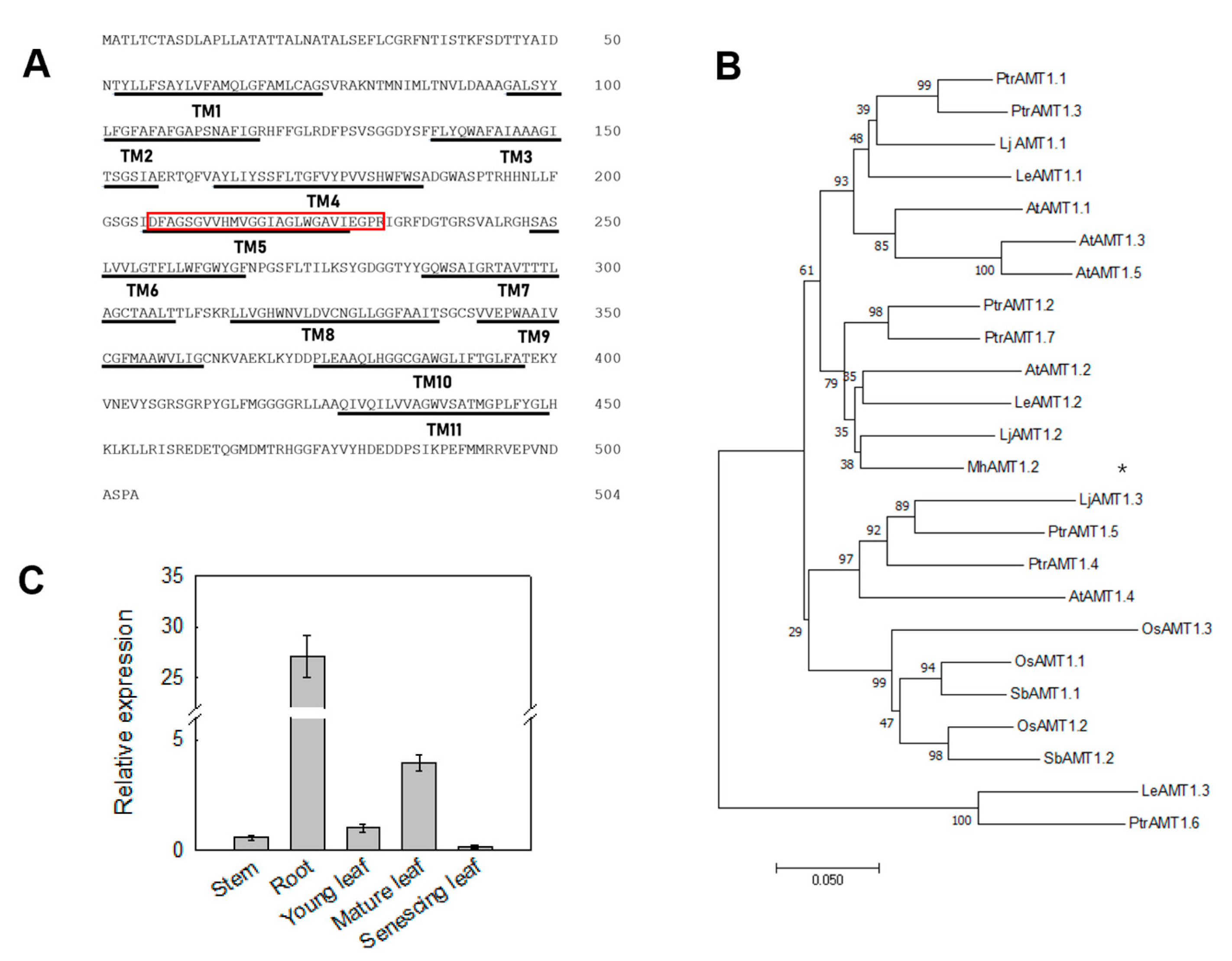 Horticulturae 09 00434 g005 Horticulturae 09 00434 g005