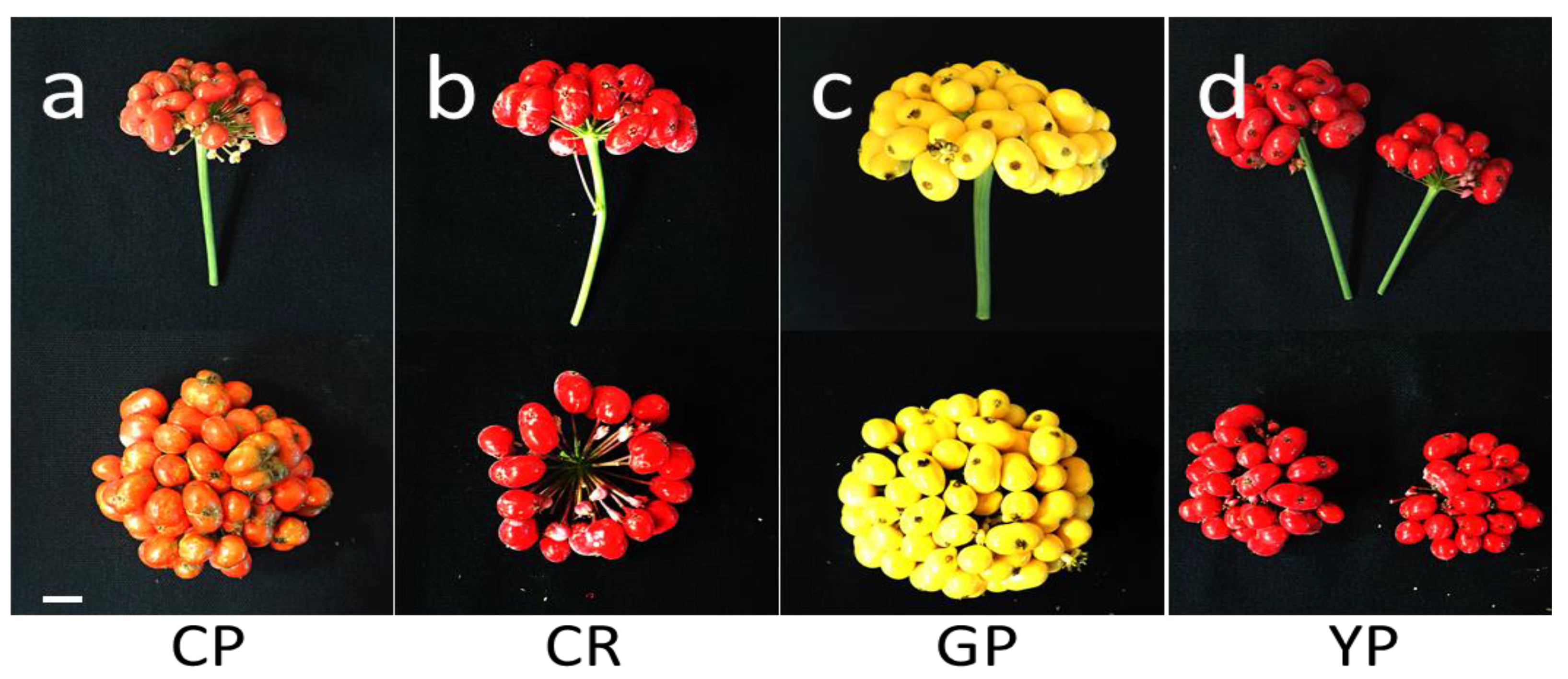 Horticulturae 09 00435 g001