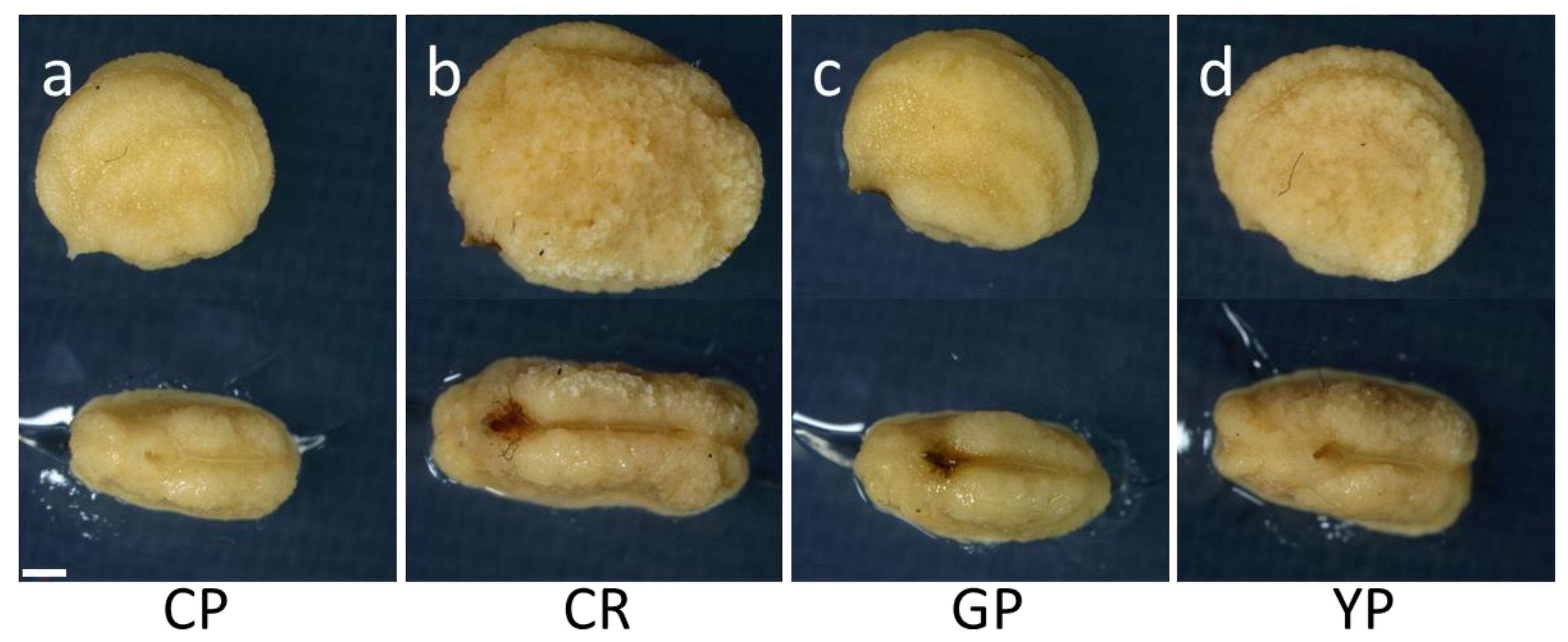 Horticulturae 09 00435 g002