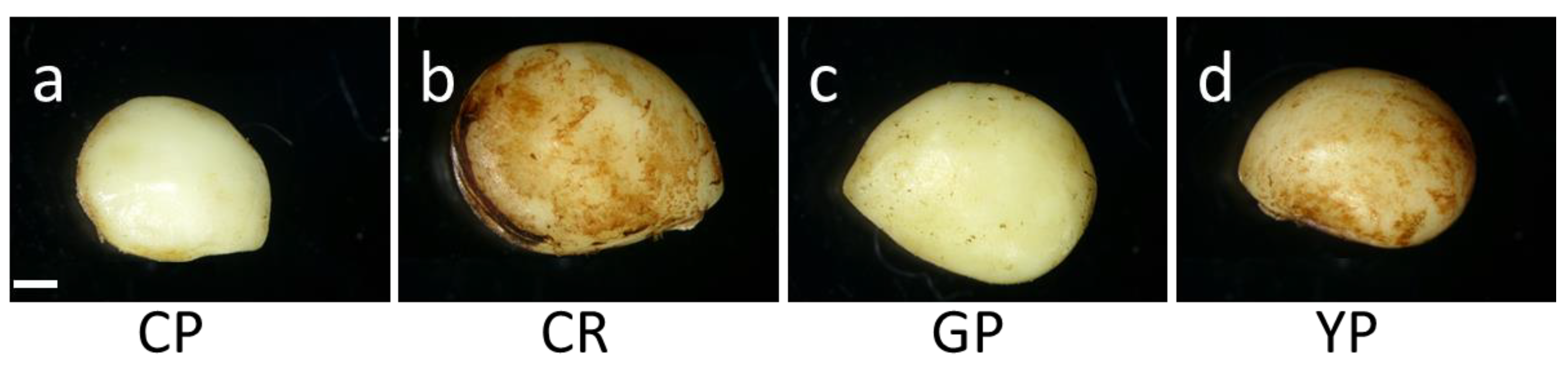Horticulturae 09 00435 g003
