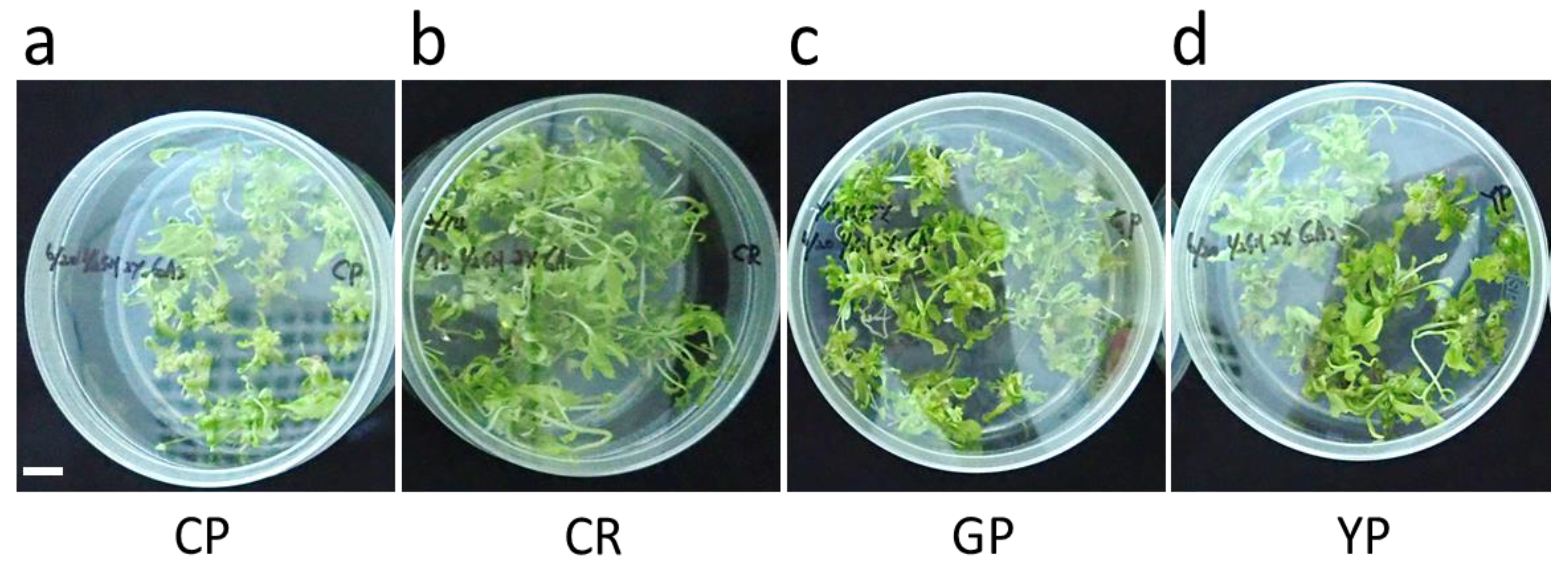 Horticulturae 09 00435 g005
