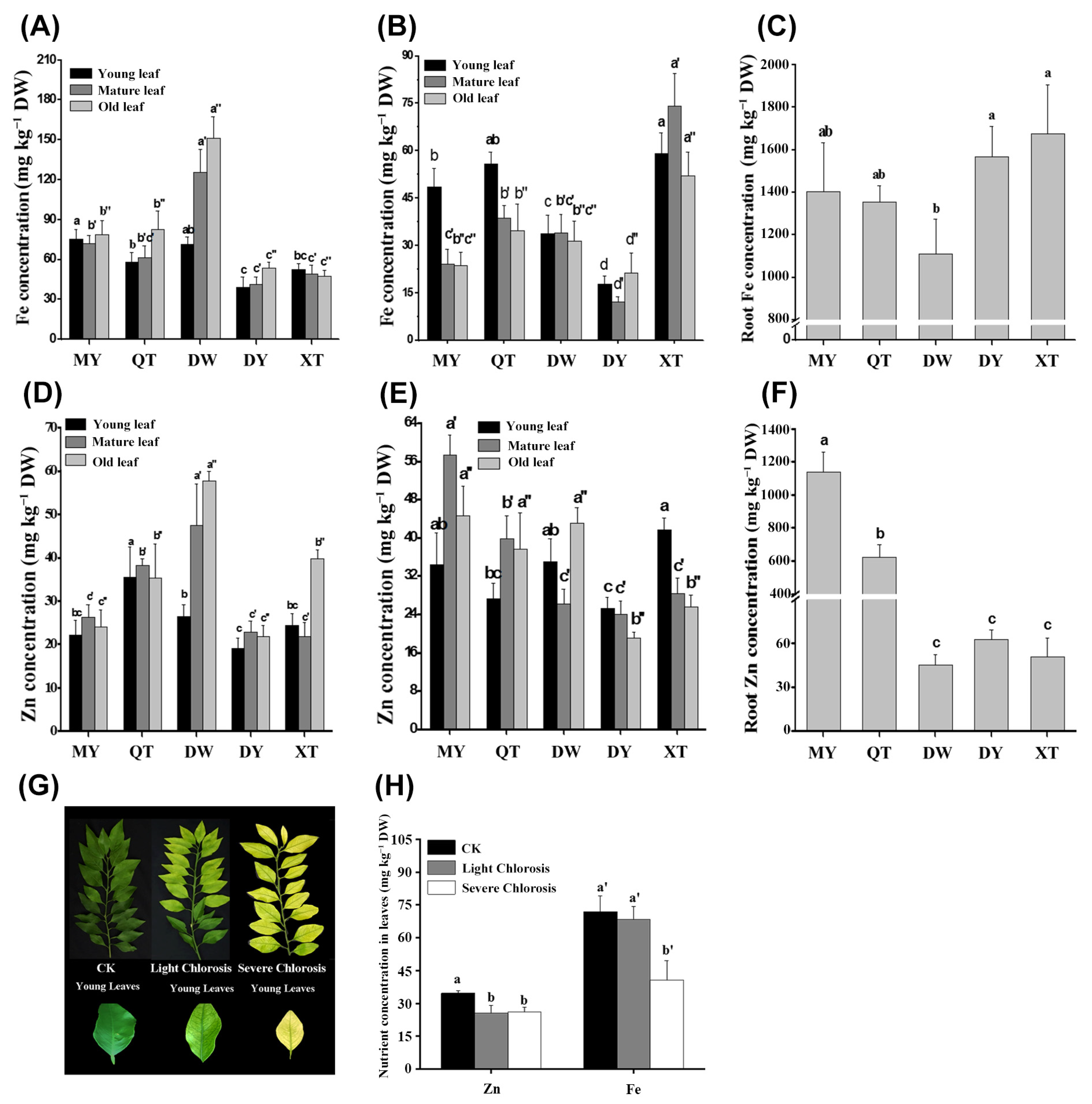 Horticulturae 09 00437 g002 Horticulturae 09 00437 g002