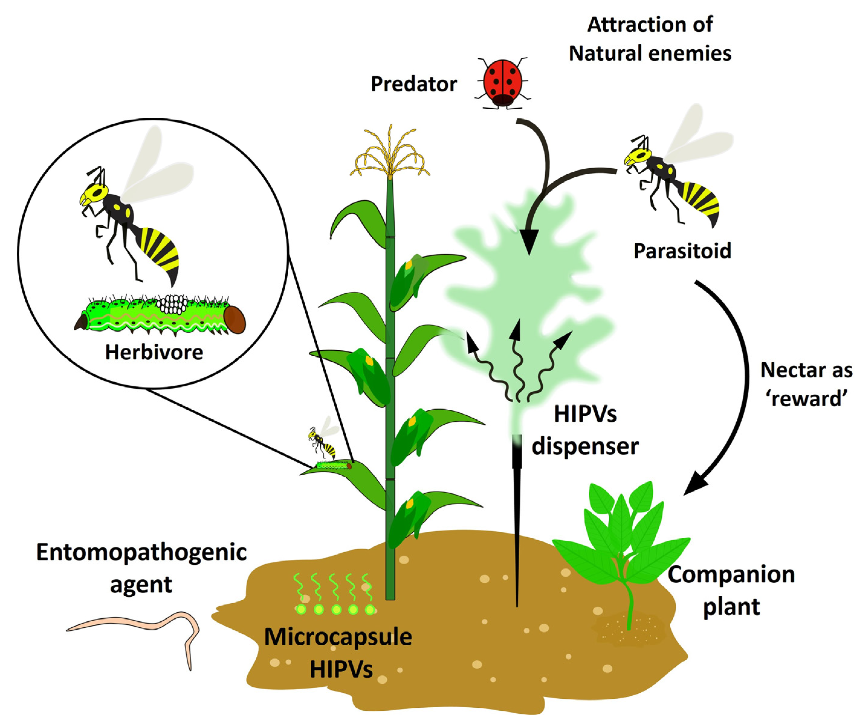 Chemical Structure Diversity and Extensive Biological