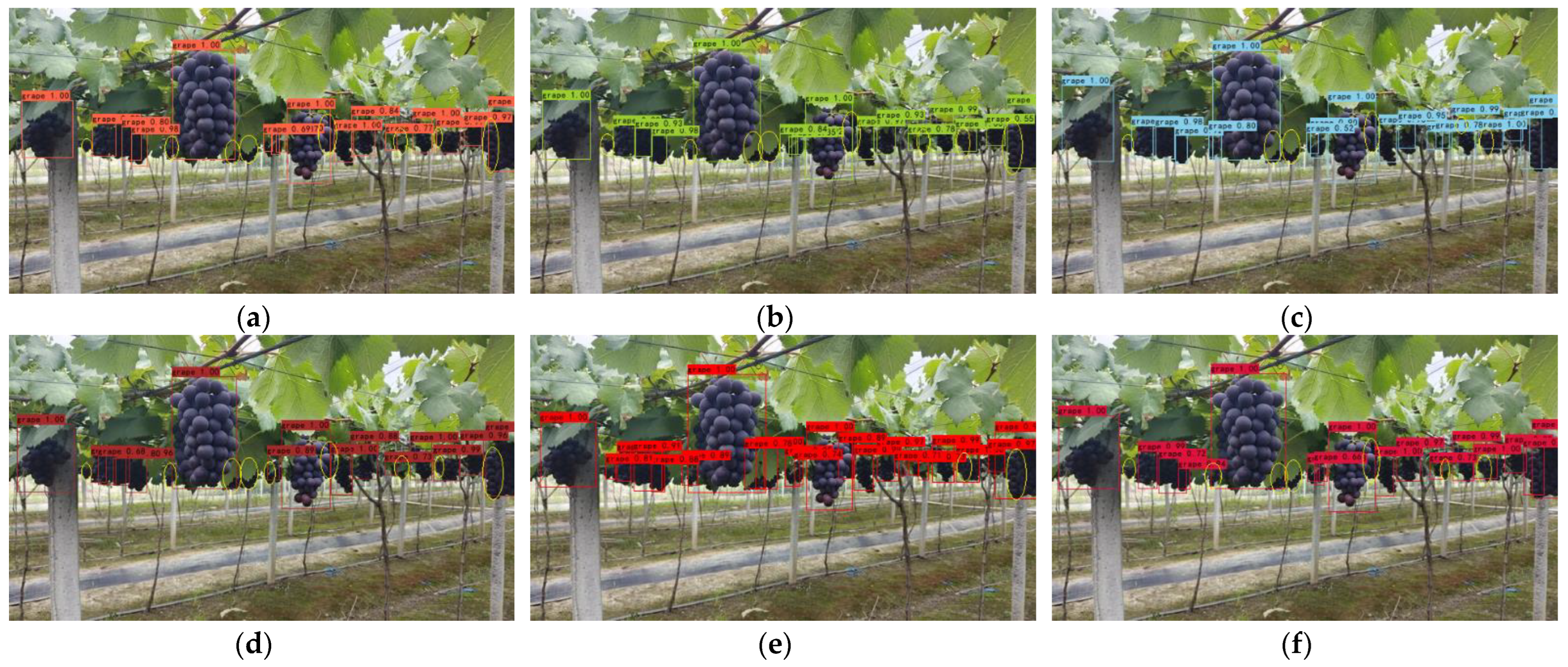 Horticulturae 09 00443 g014