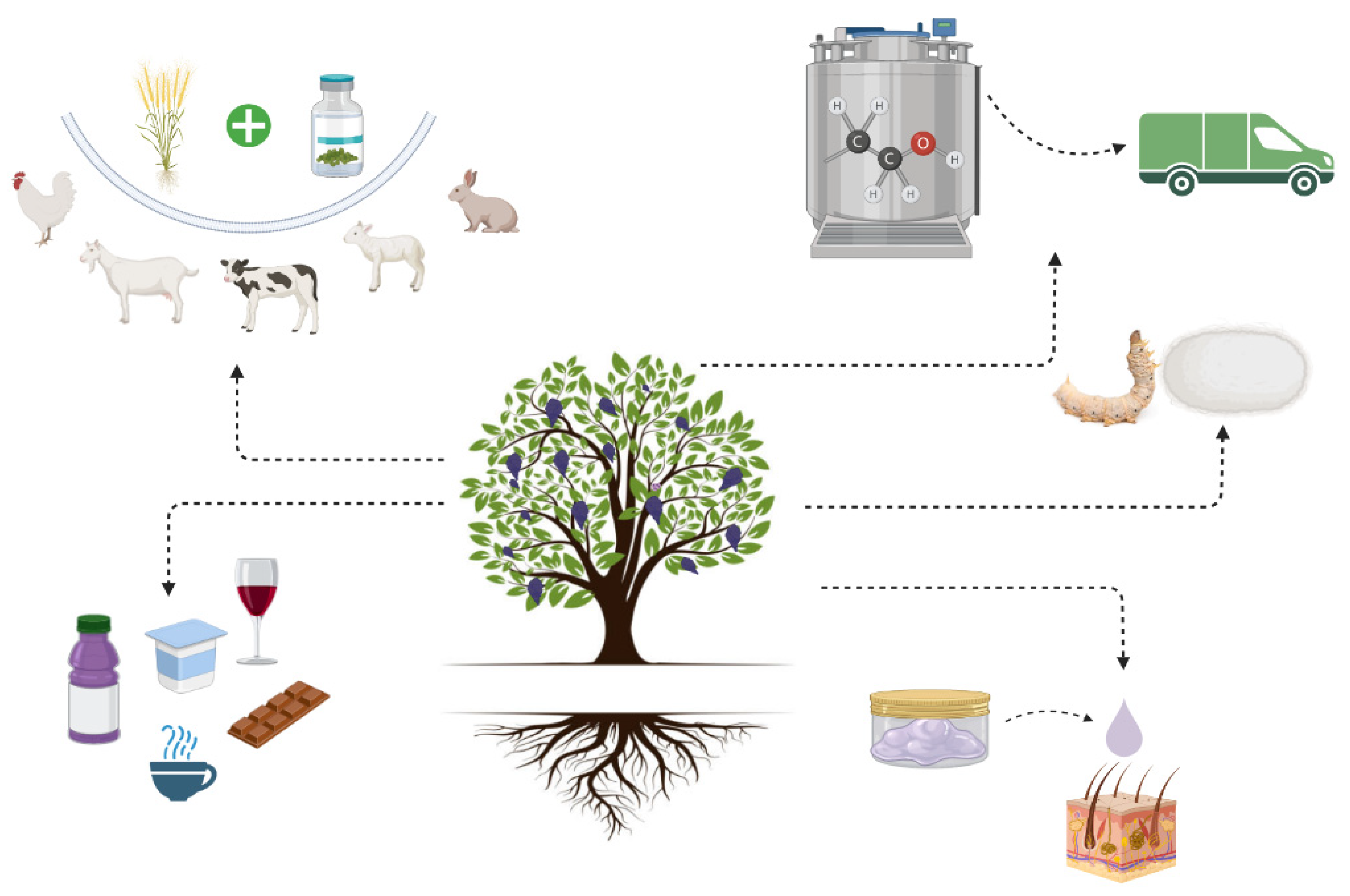 Horticulturae 09 00444 g002 Horticulturae 09 00444 g002