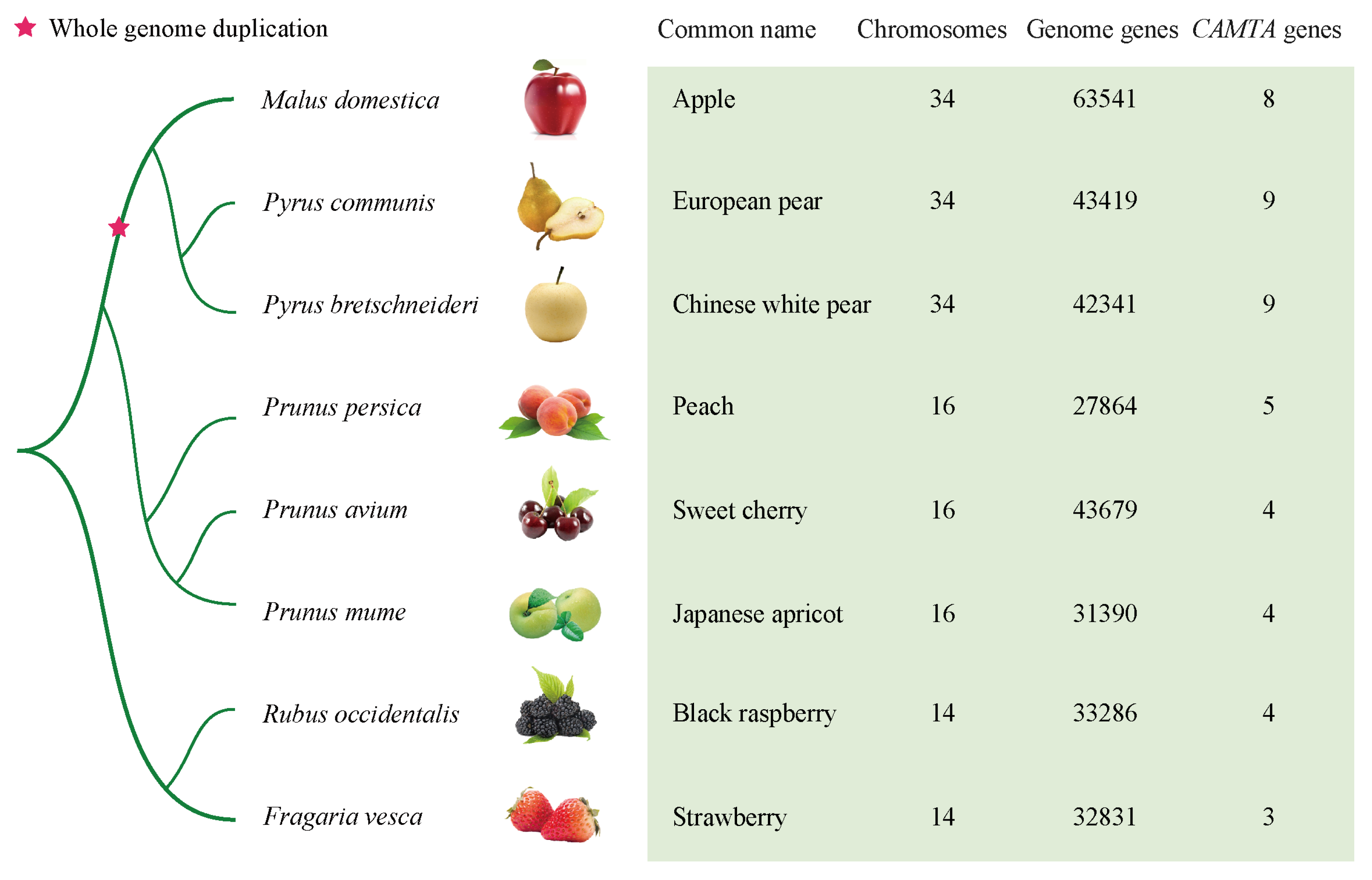 Horticulturae 09 00467 g001