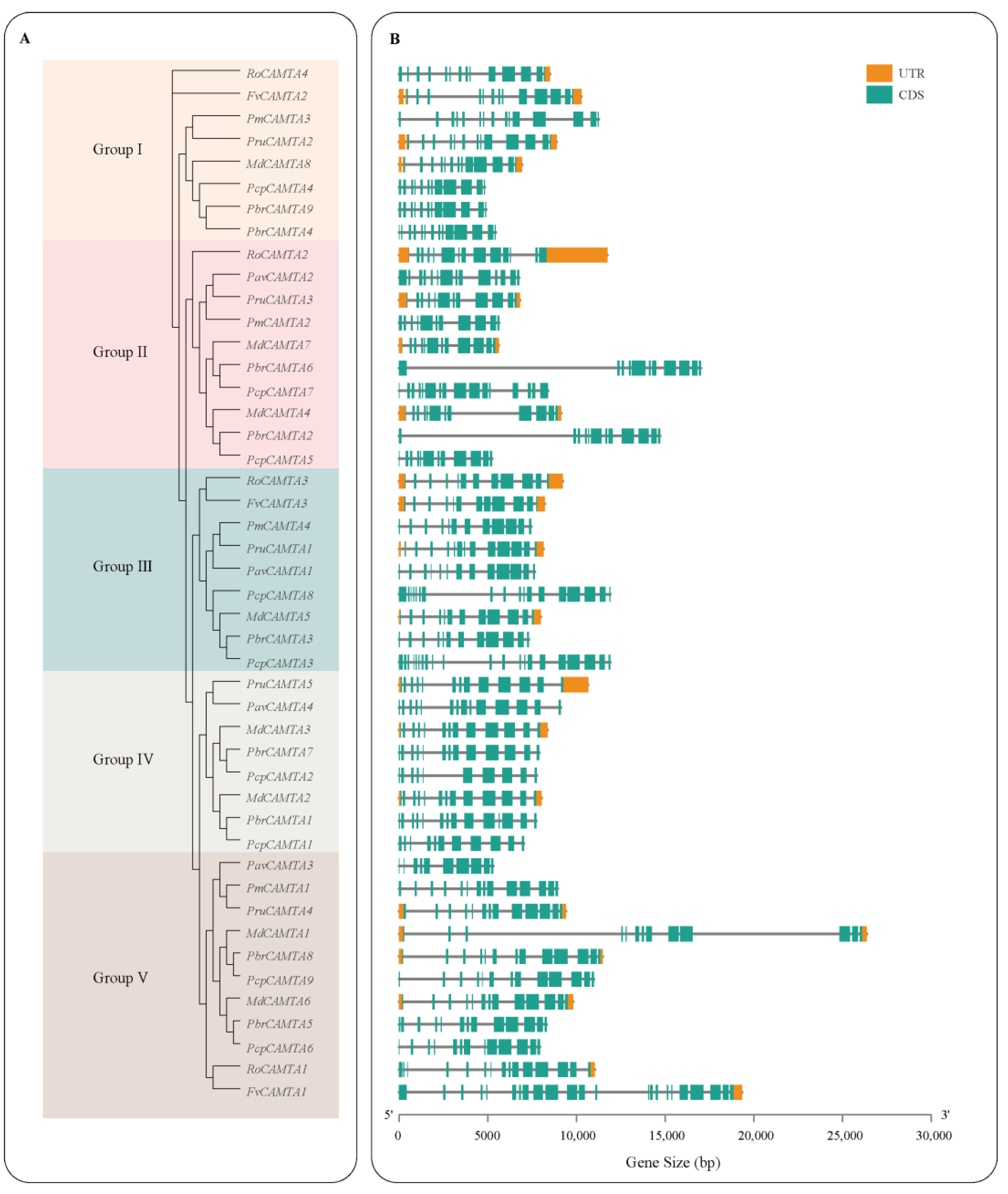 Horticulturae 09 00467 g003