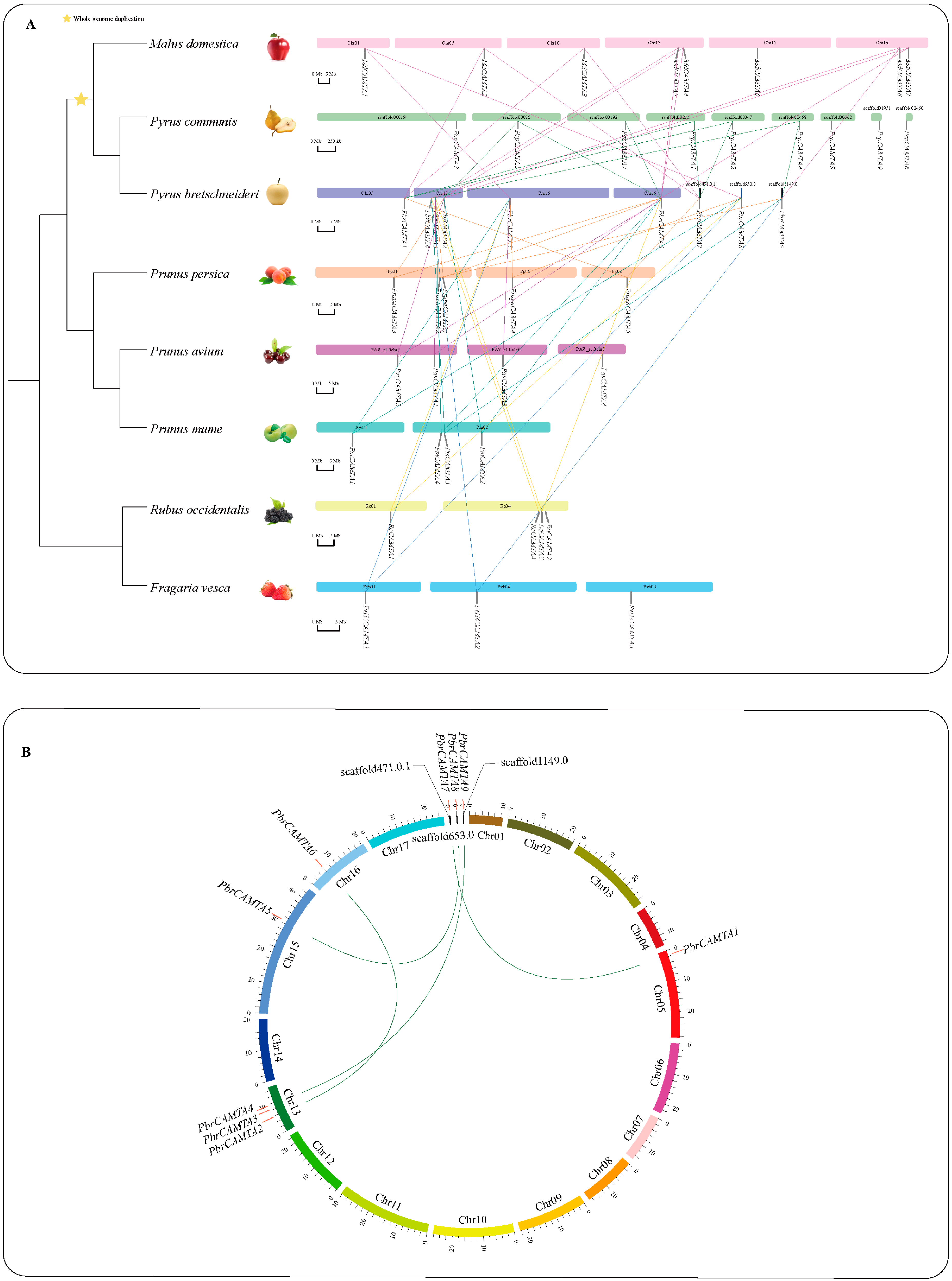Horticulturae 09 00467 g004