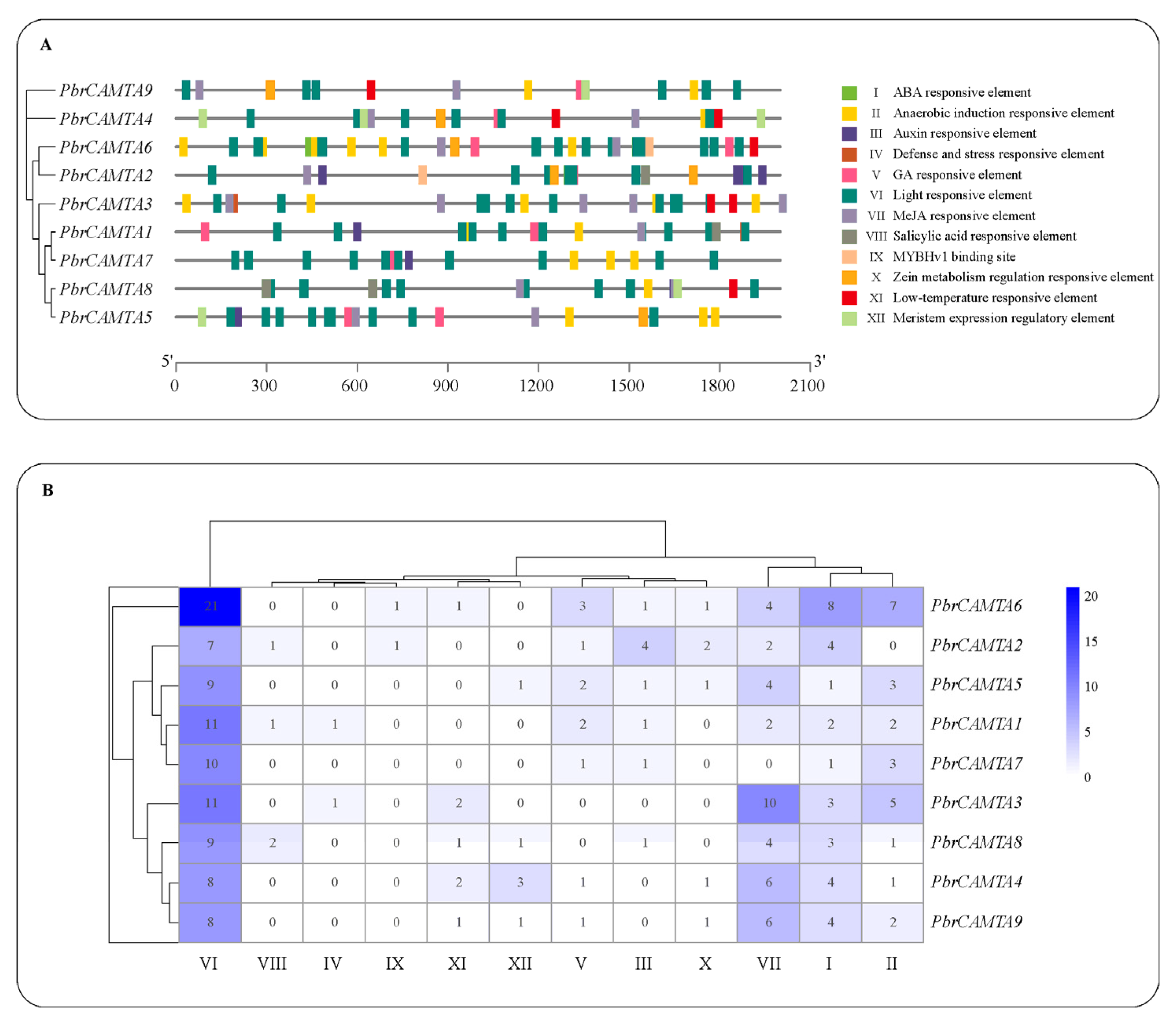 Horticulturae 09 00467 g005