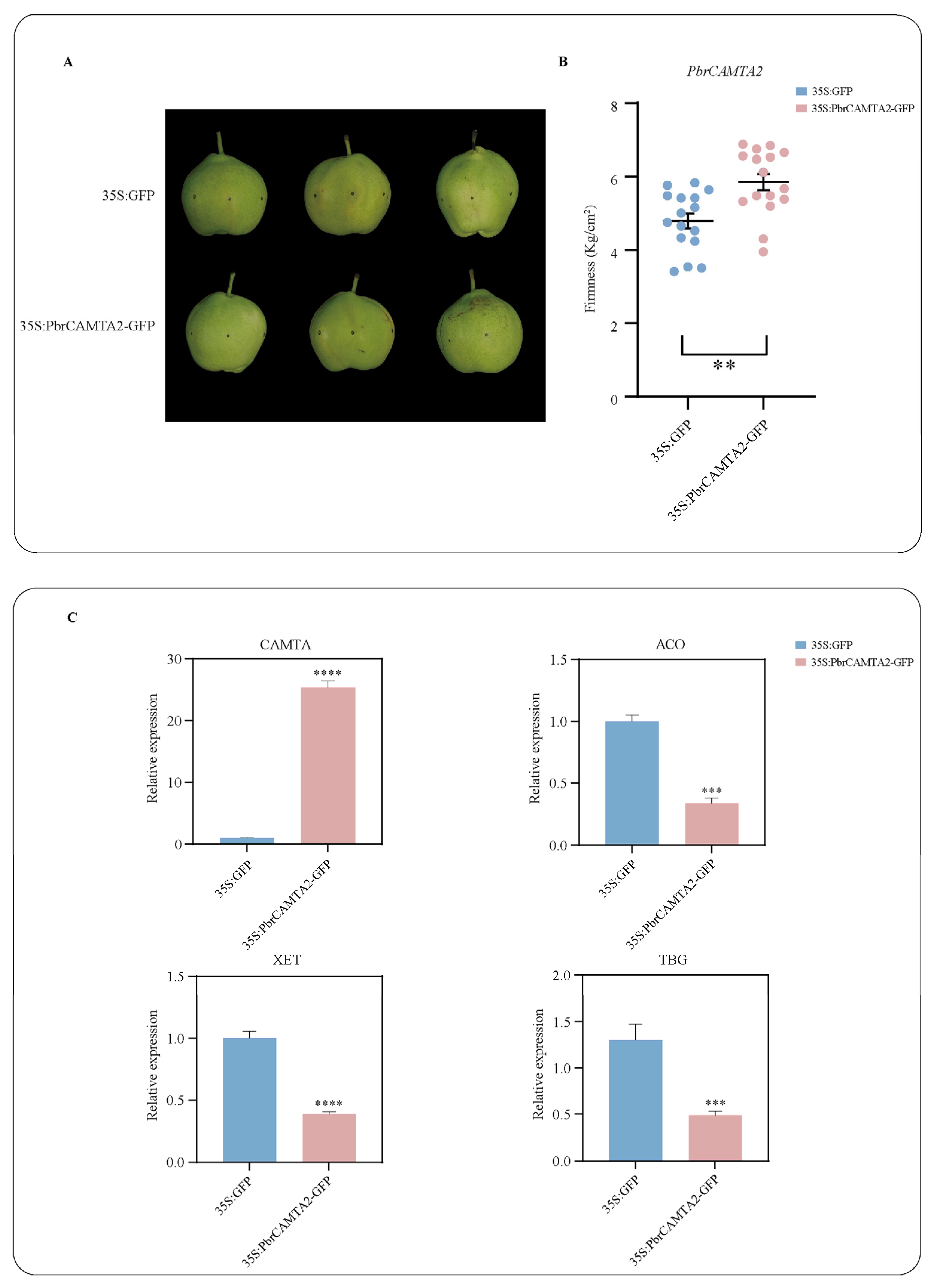 Horticulturae 09 00467 g008