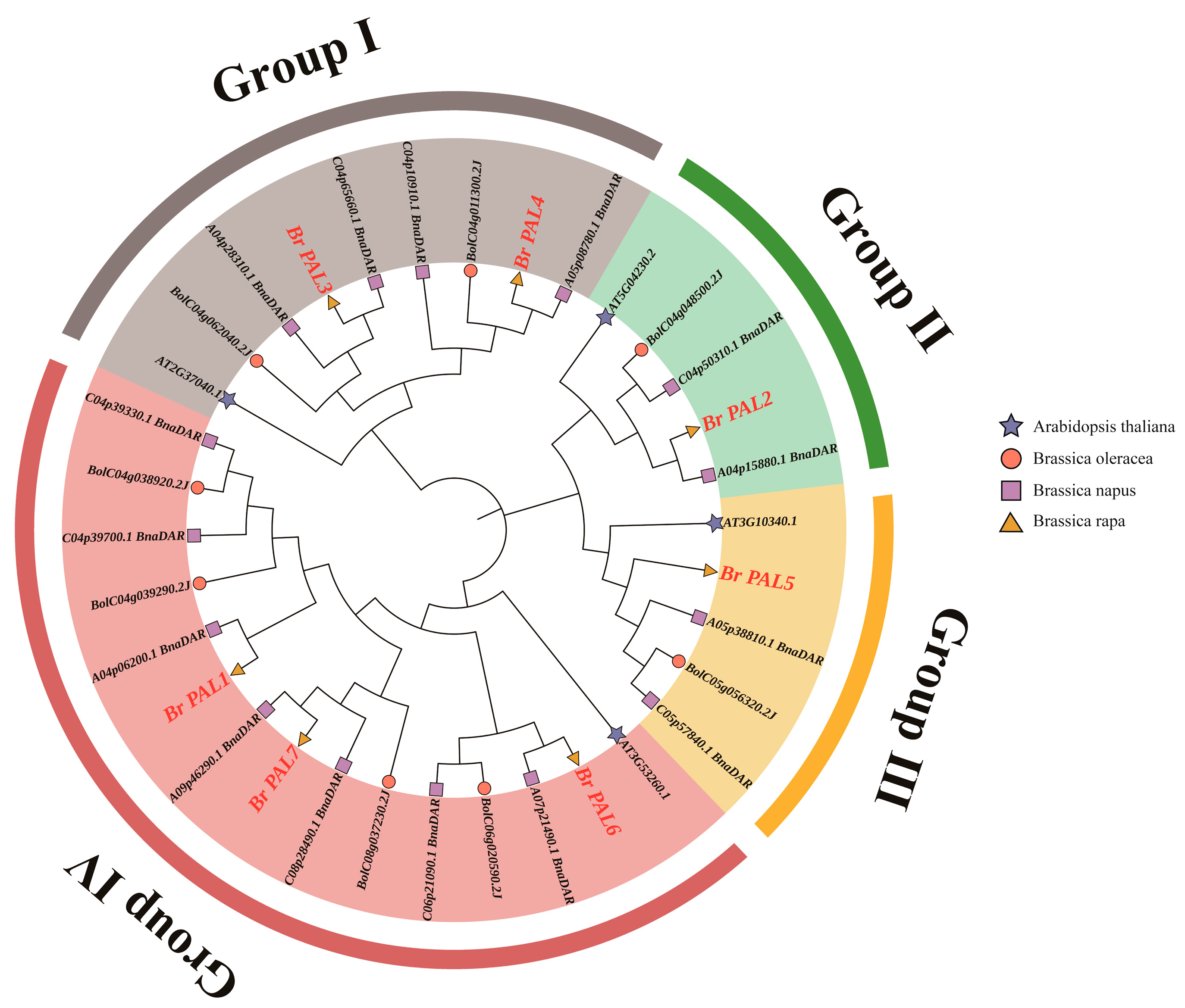 Horticulturae 09 00469 g002 Horticulturae 09 00469 g002