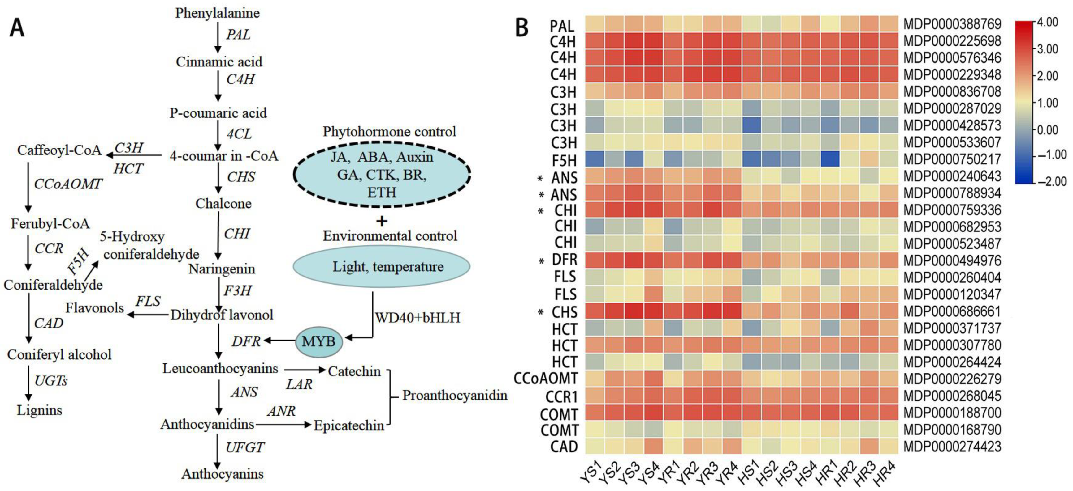 Horticulturae 09 00475 g004 Horticulturae 09 00475 g004