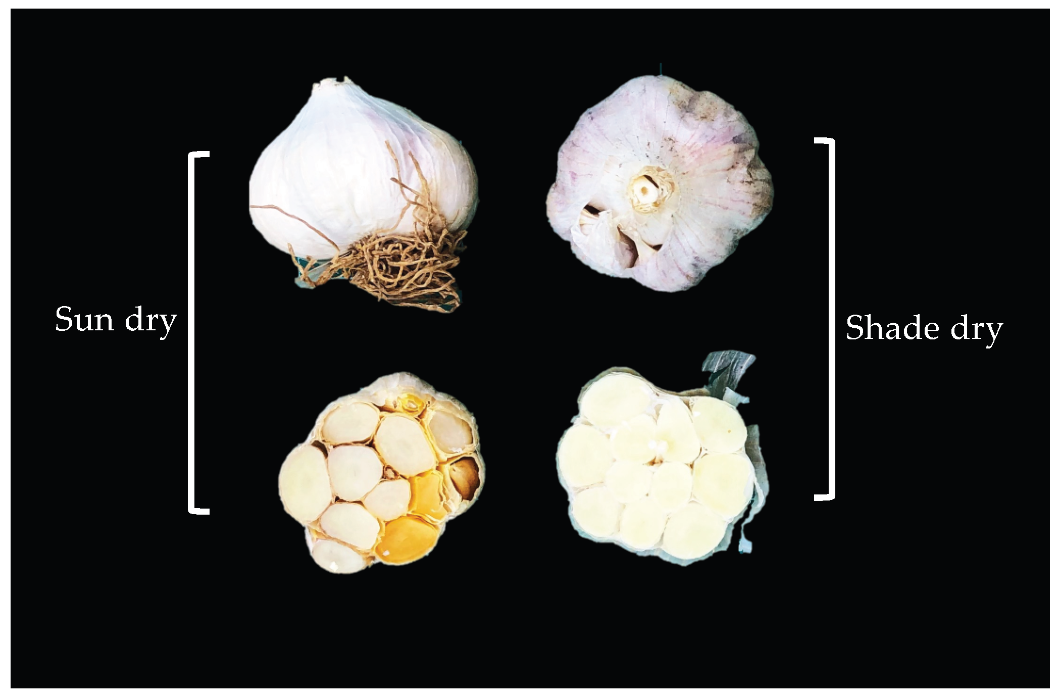 Horticulturae 09 00482 g003 Horticulturae 09 00482 g003