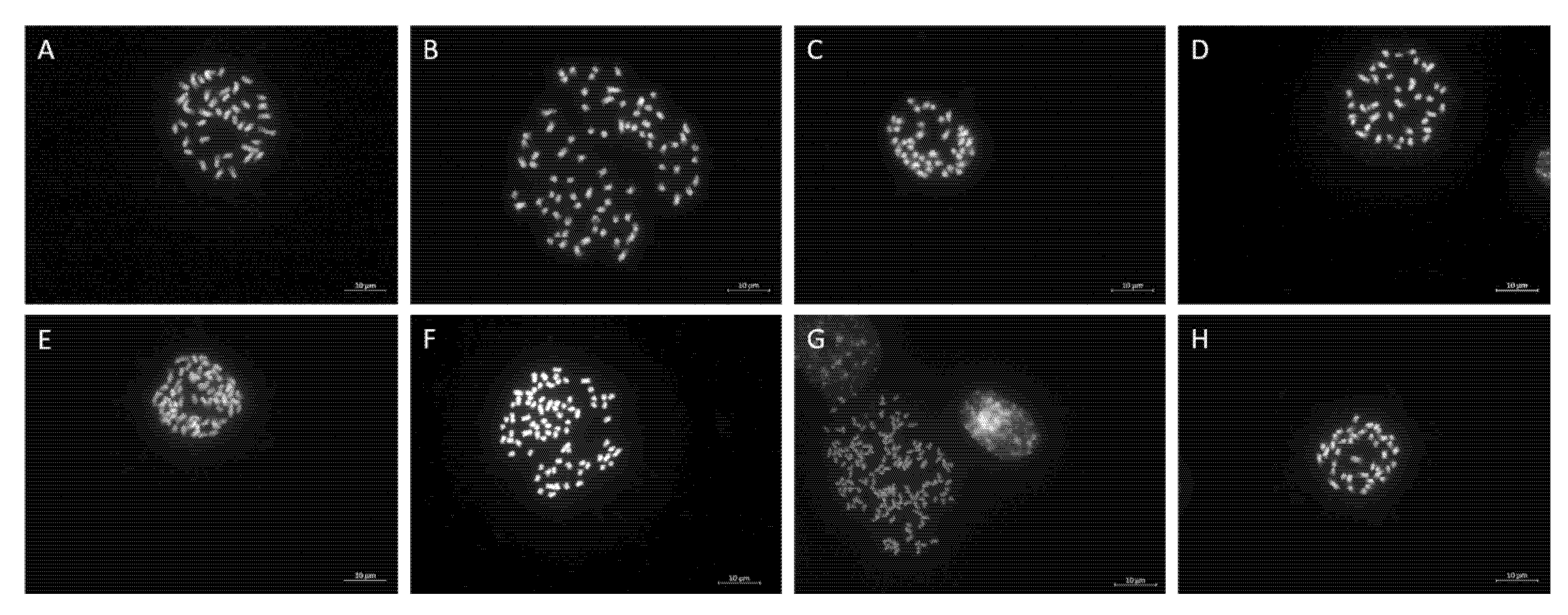 Horticulturae 09 00485 g003