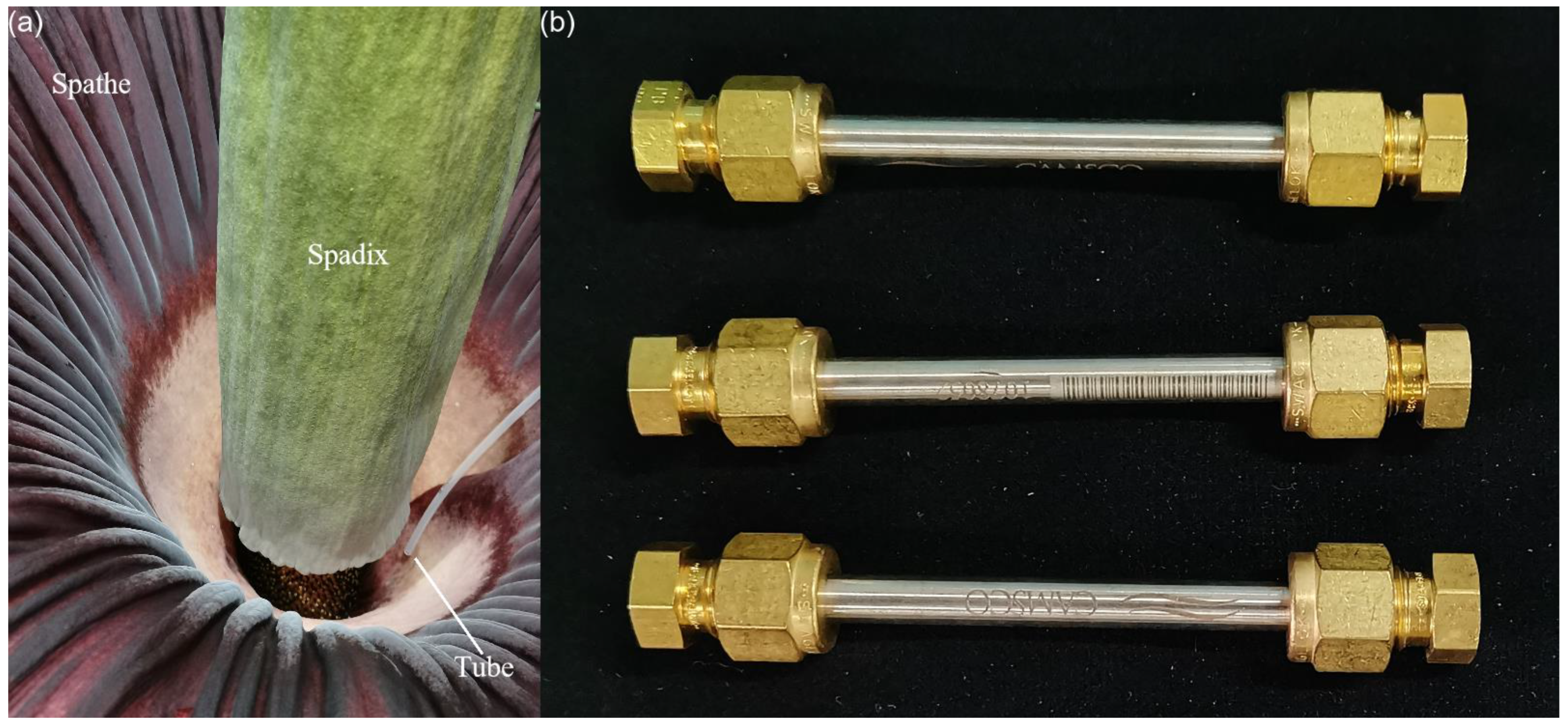 Horticulturae 09 00487 g002