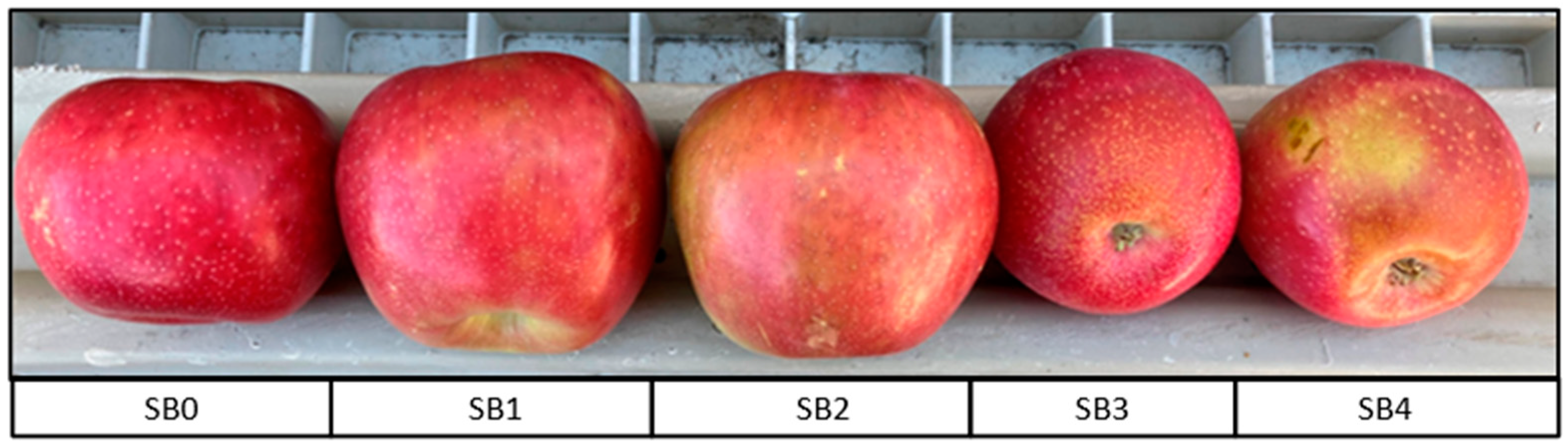 Horticulturae 09 00492 g001