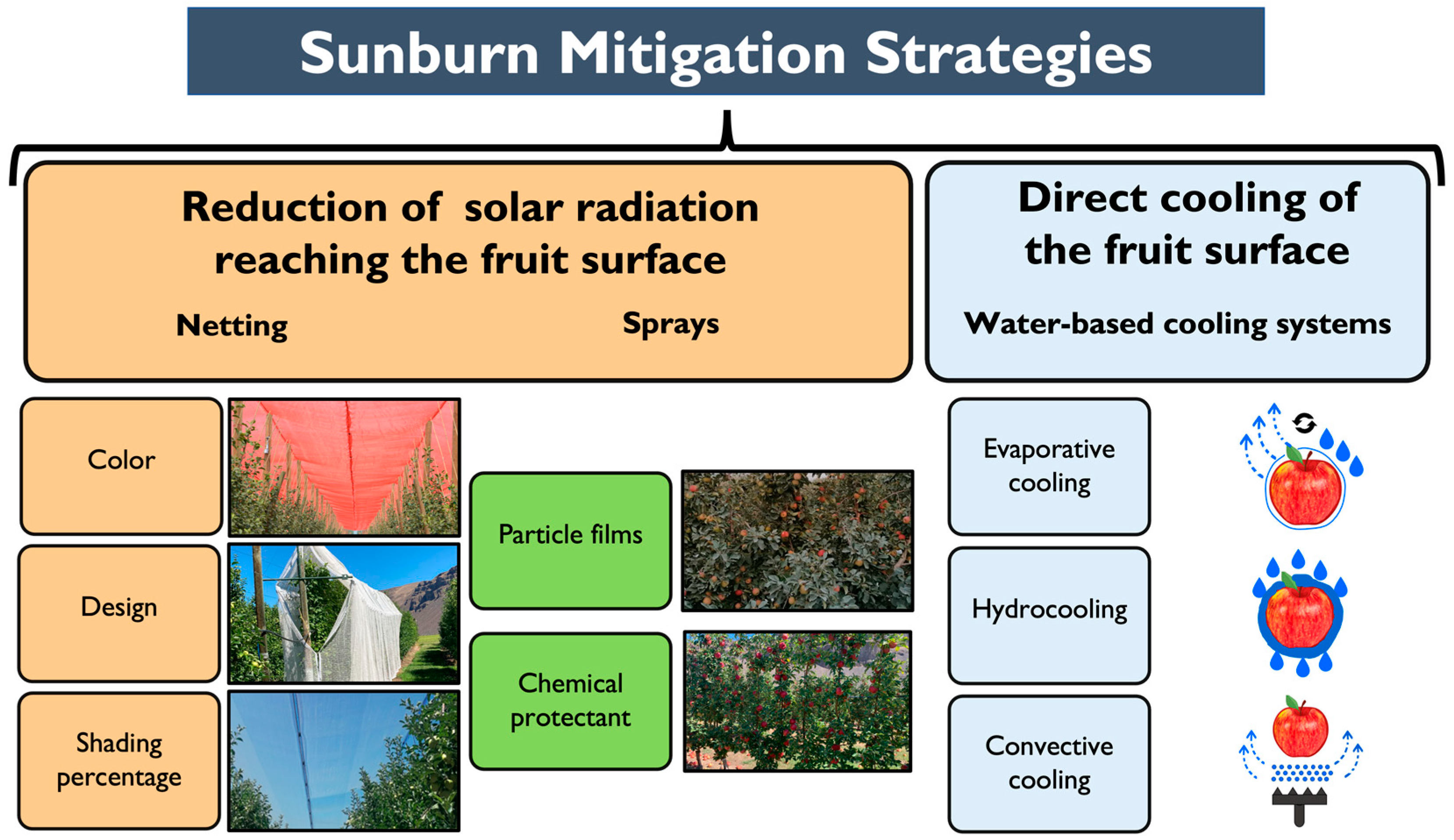 Horticulturae 09 00492 g002