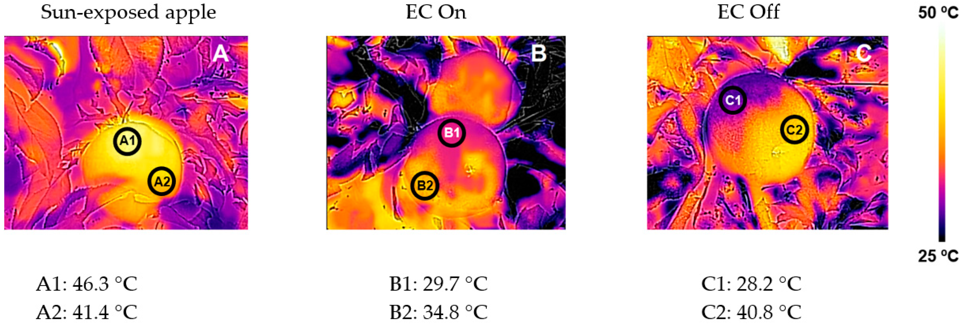 Horticulturae 09 00492 g003