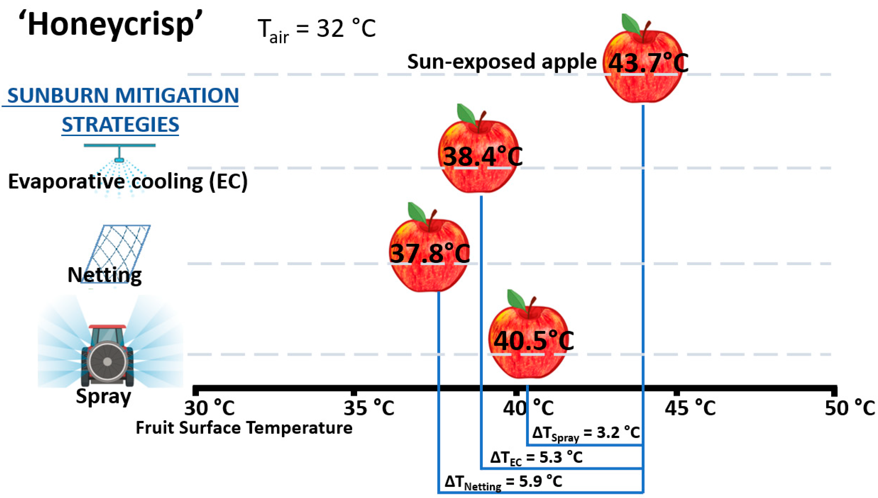 Horticulturae 09 00492 g004