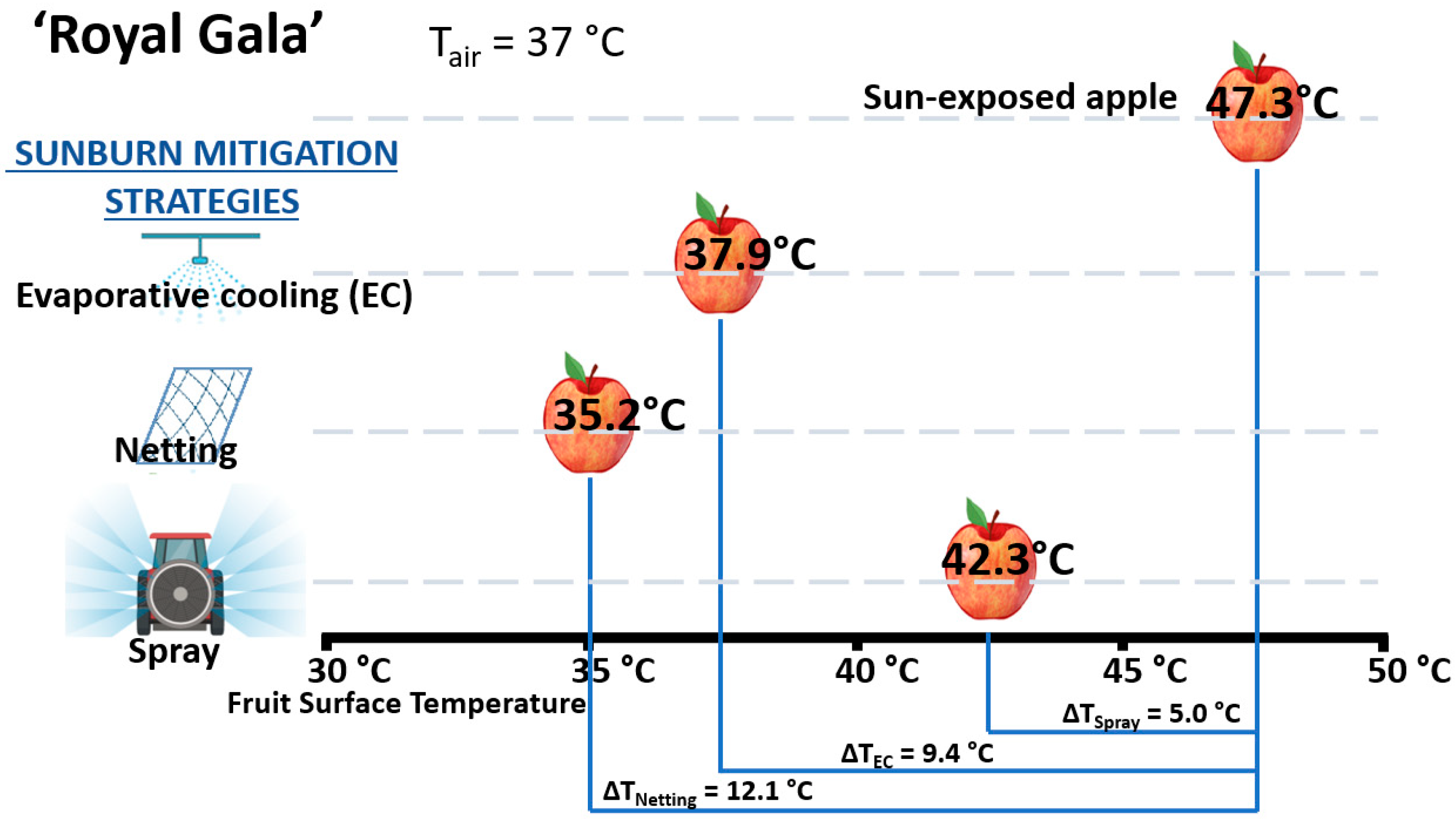 Horticulturae 09 00492 g005
